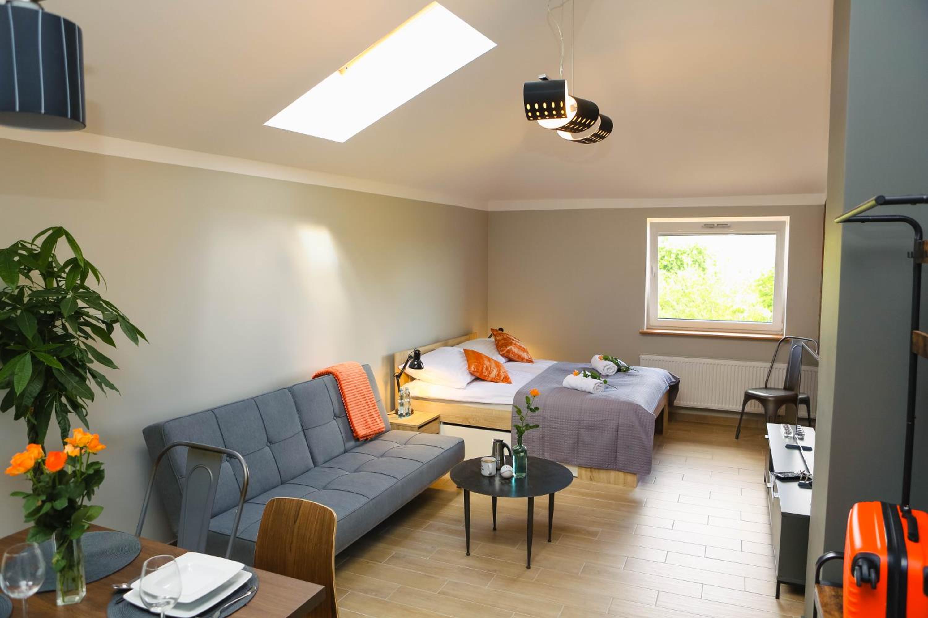 Studio Apartment photo 2