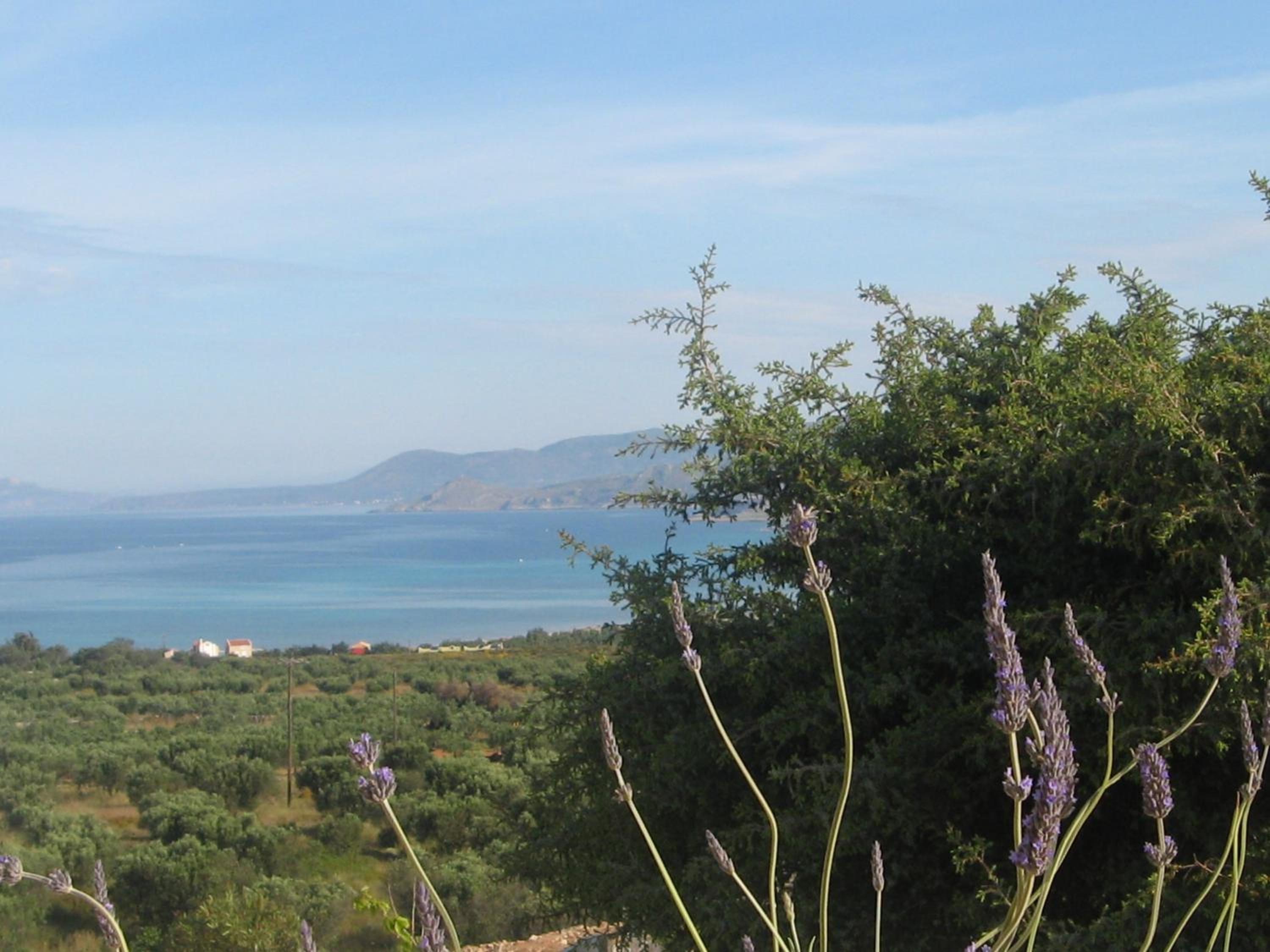 Studio with Sea View photo 3