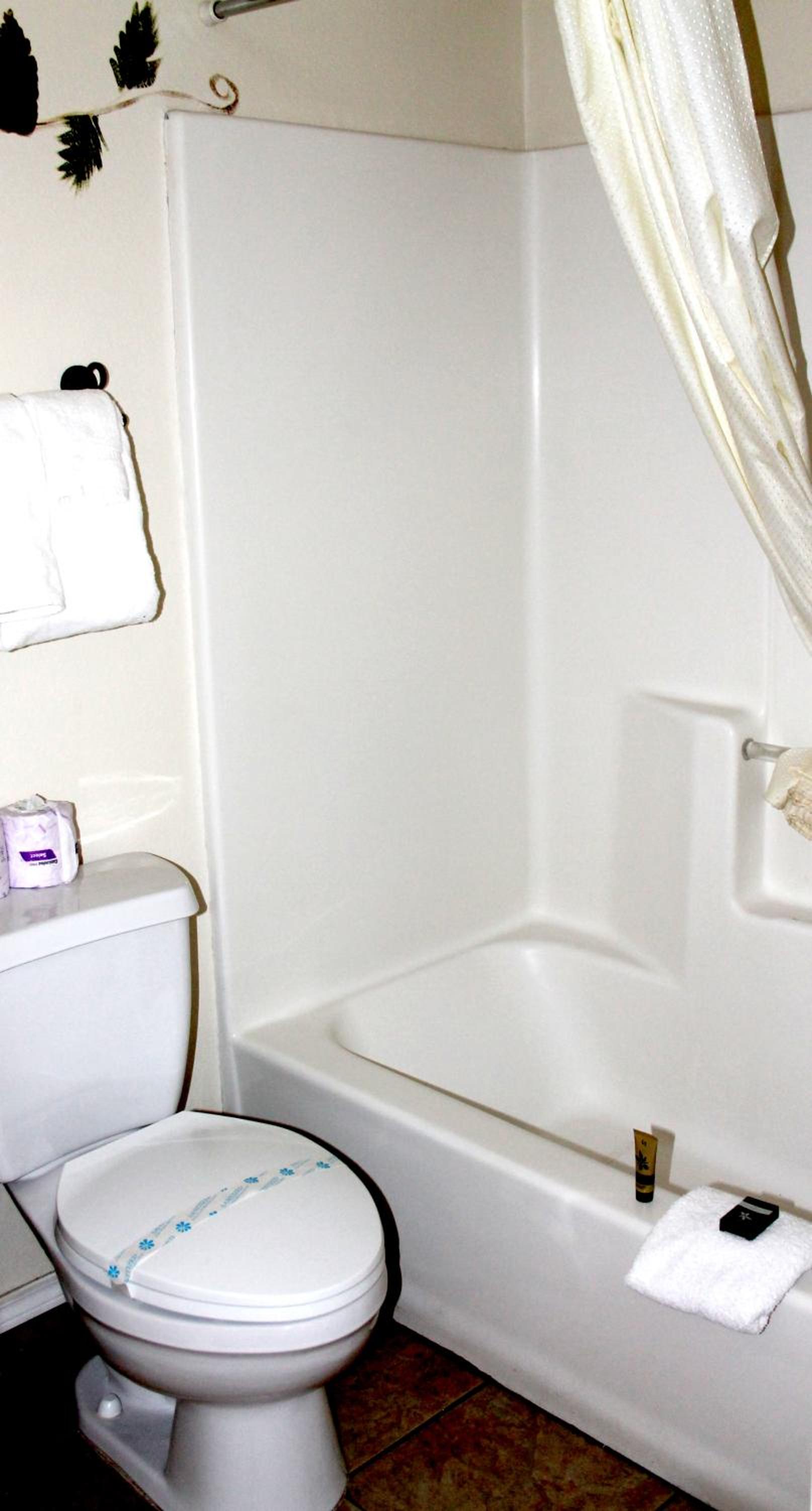 Studio with Spa Bath - Photo 3