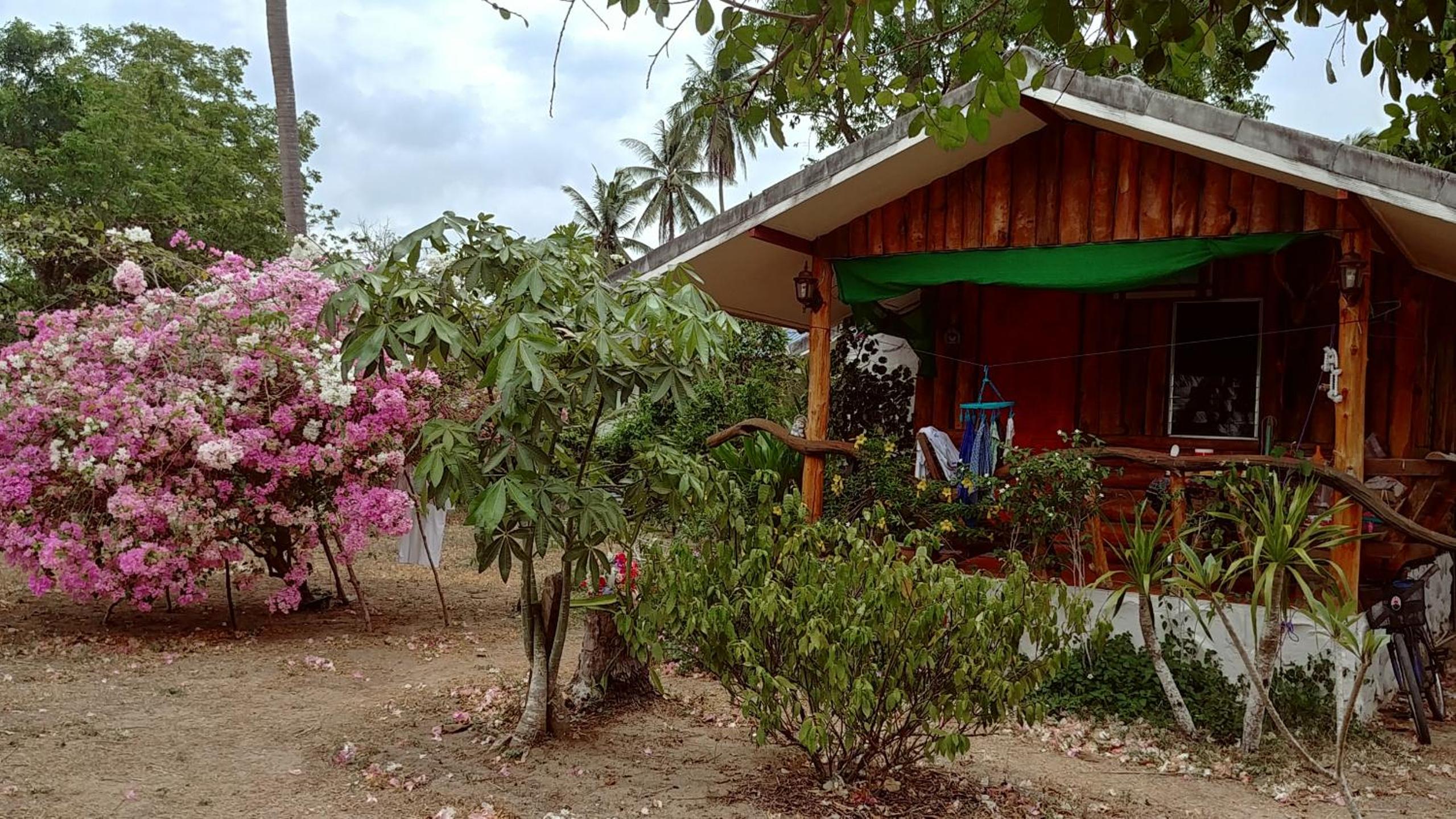 Bungalow with Patio photo 3