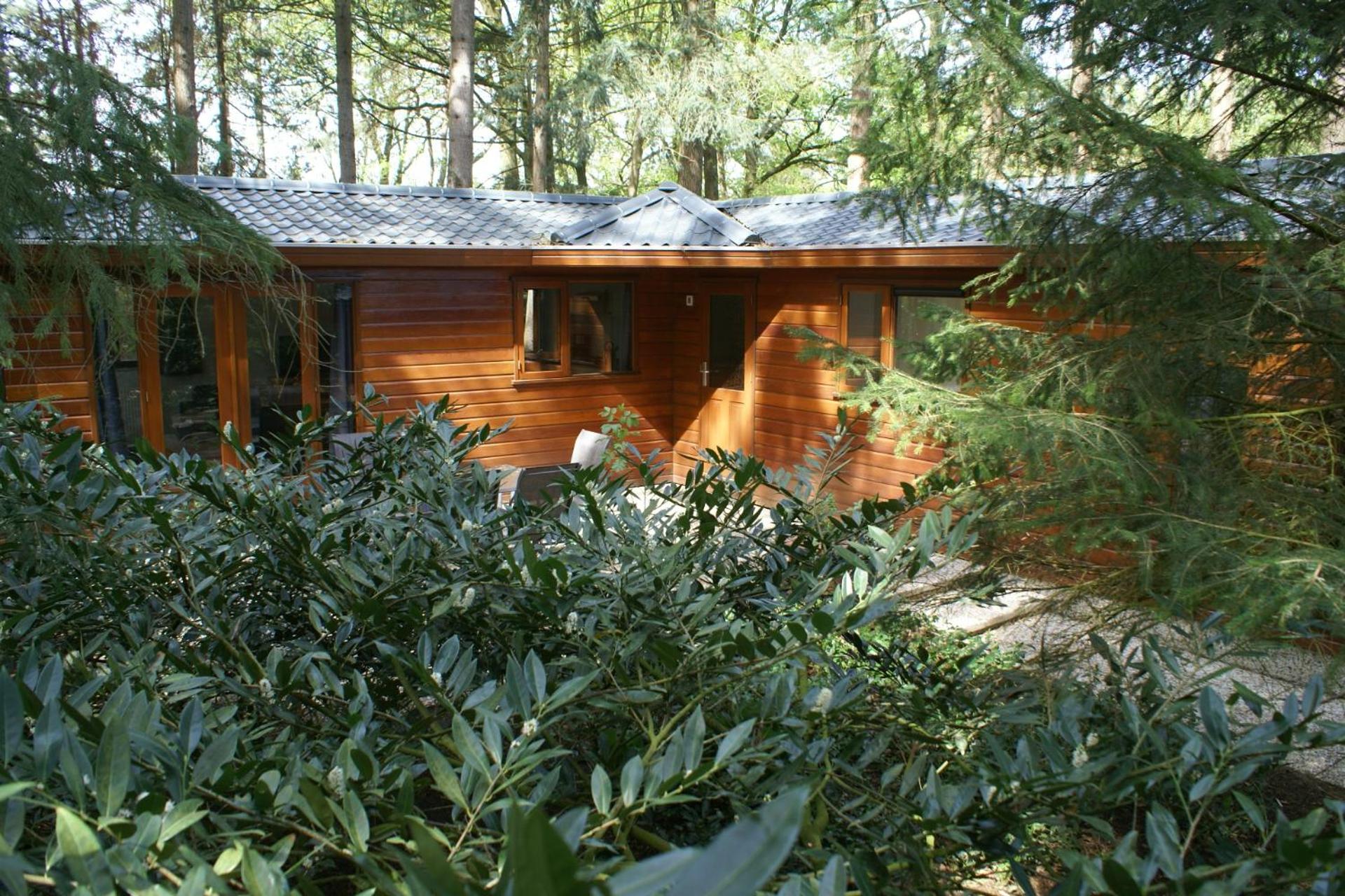 Three-Bedroom Chalet photo 2