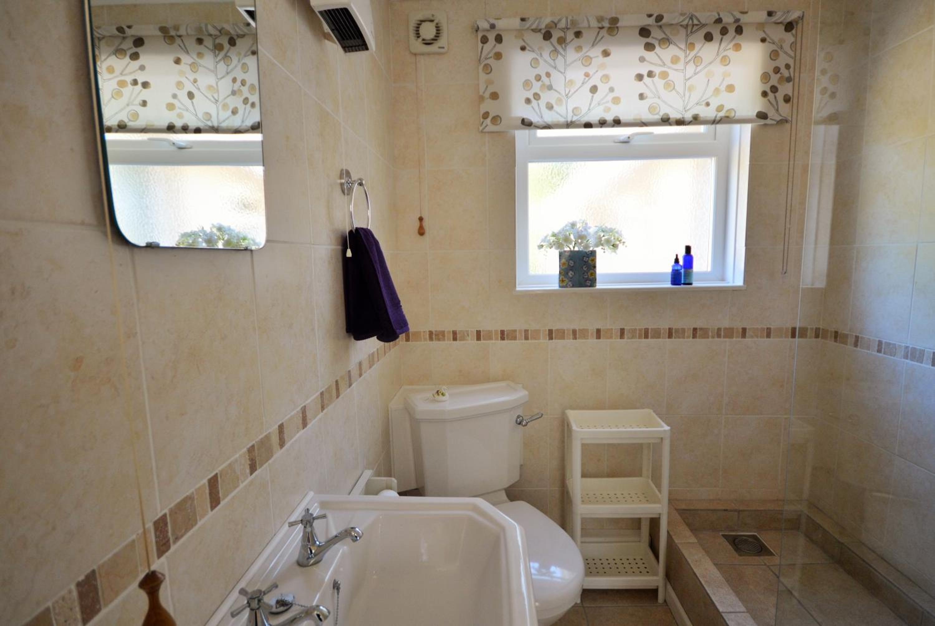One-Bedroom House photo 2