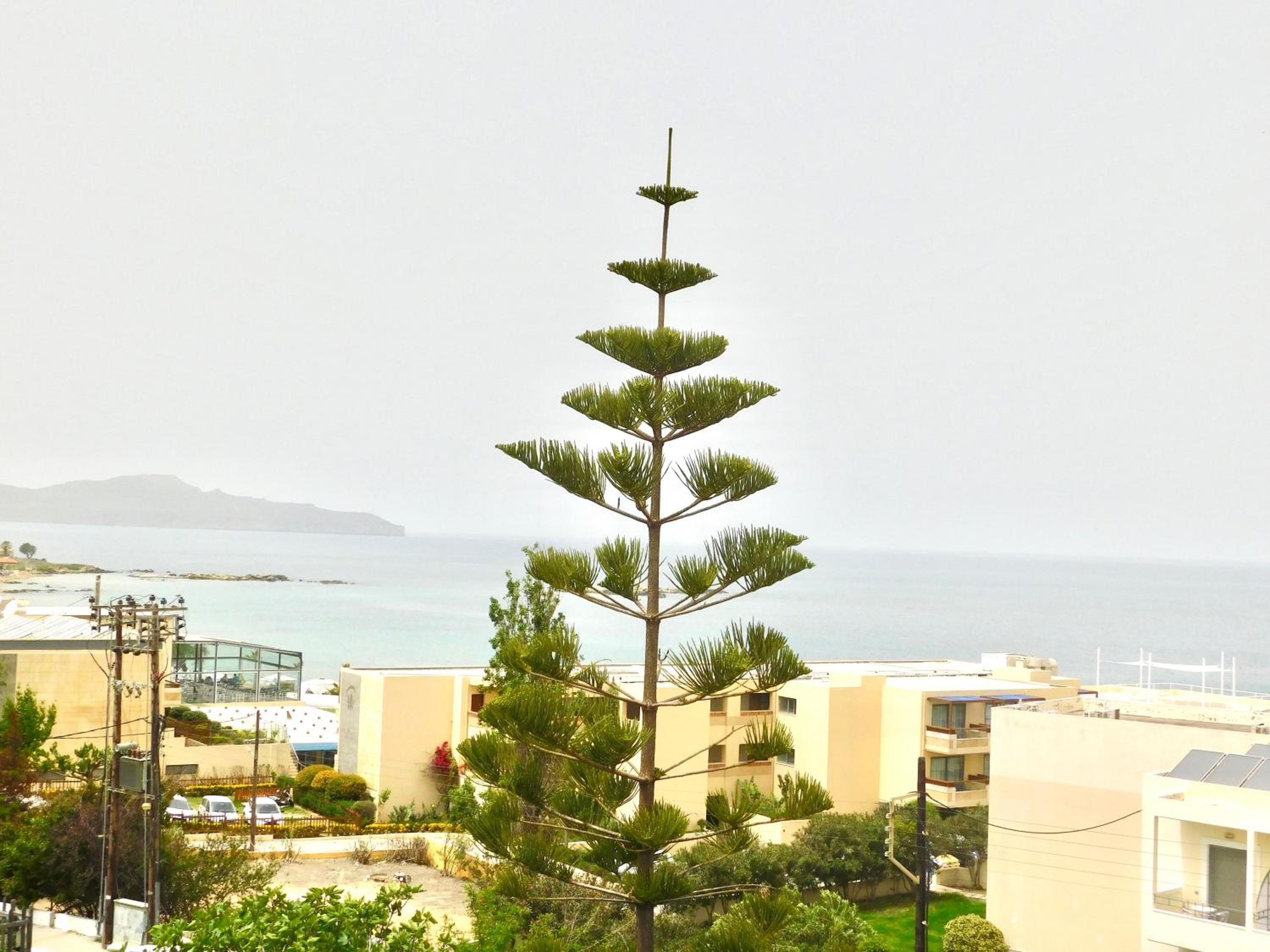Maisonette with Panoramic Sea View - Photo 22