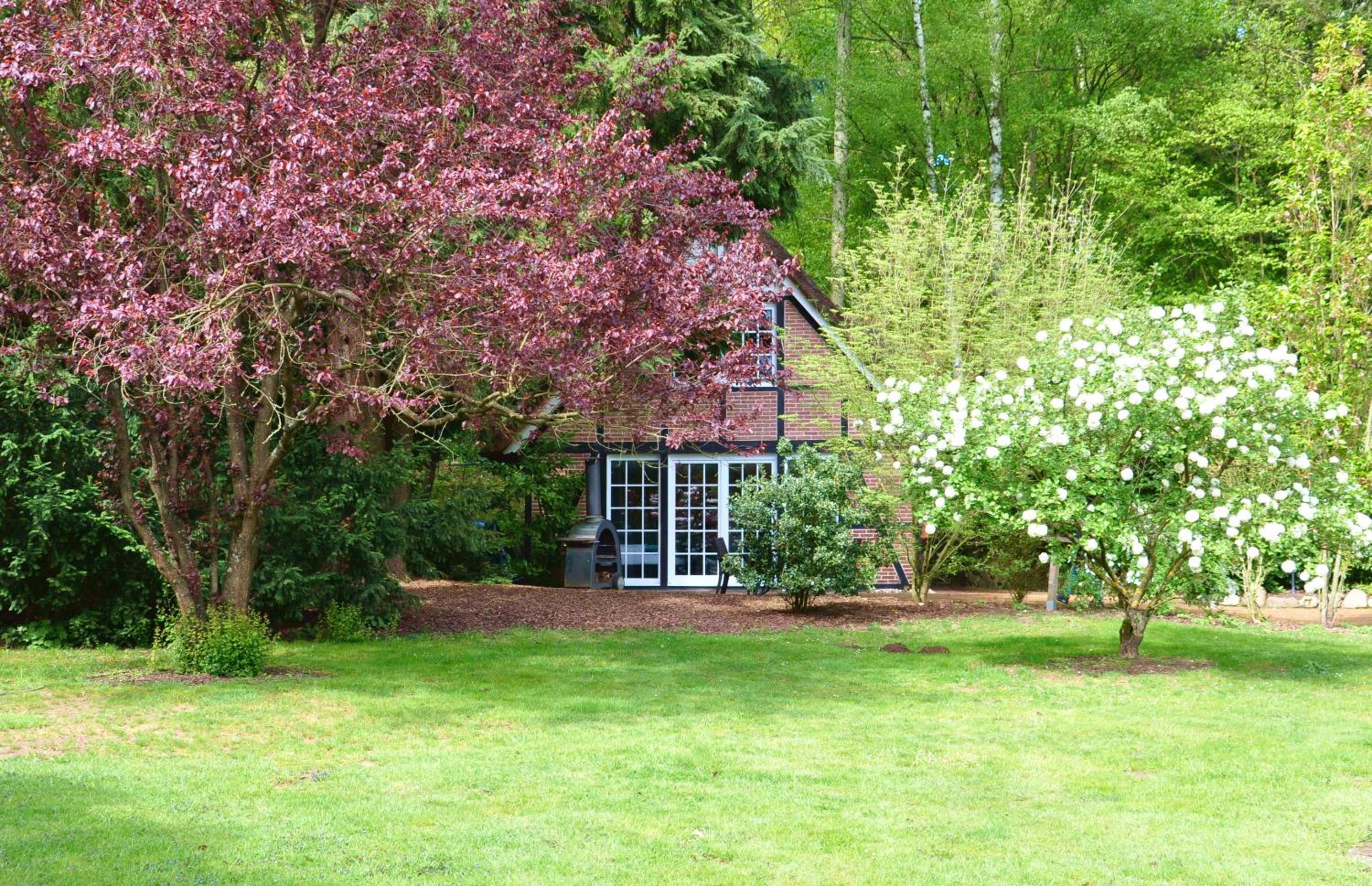 Double Room with Terrace photo 2