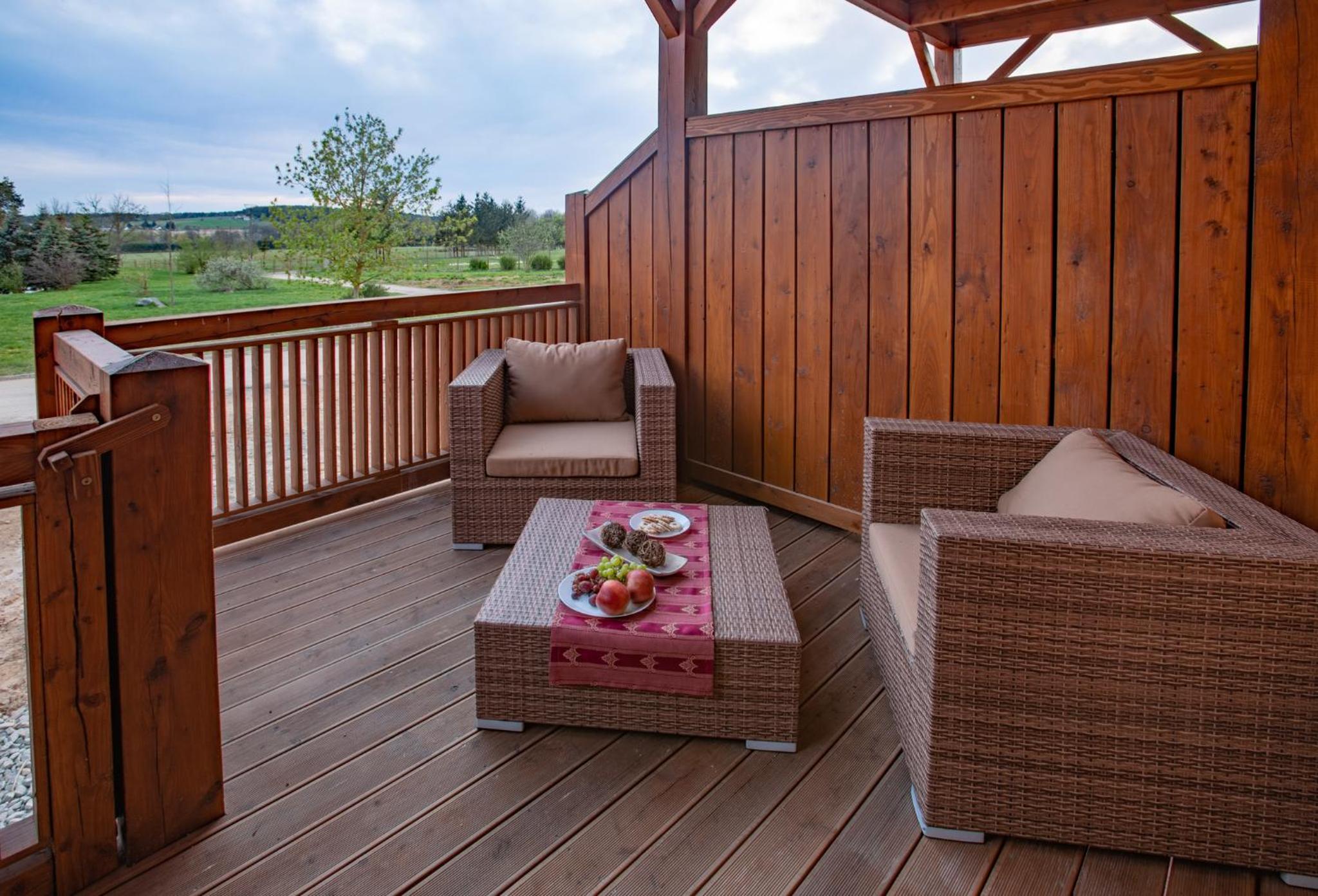 One-Bedroom Apartment with Terrace photo 3