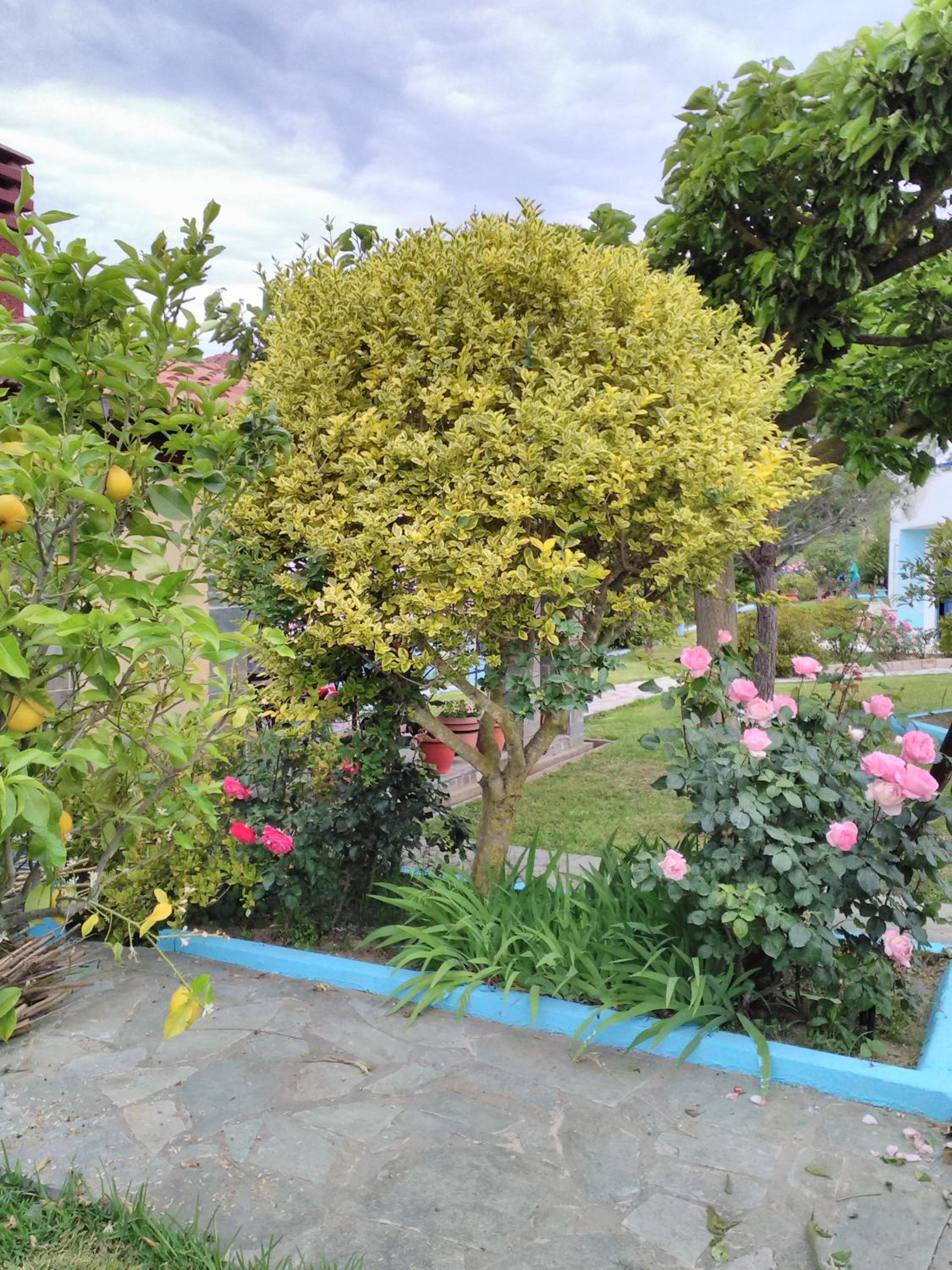 Villa - Photo 88
