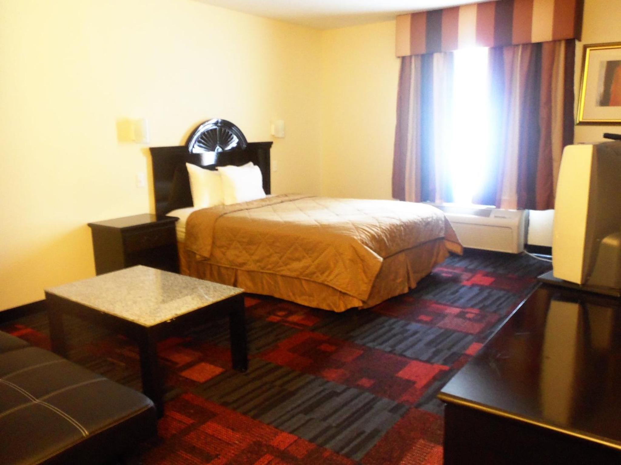 Standard Single Room - Photo 7