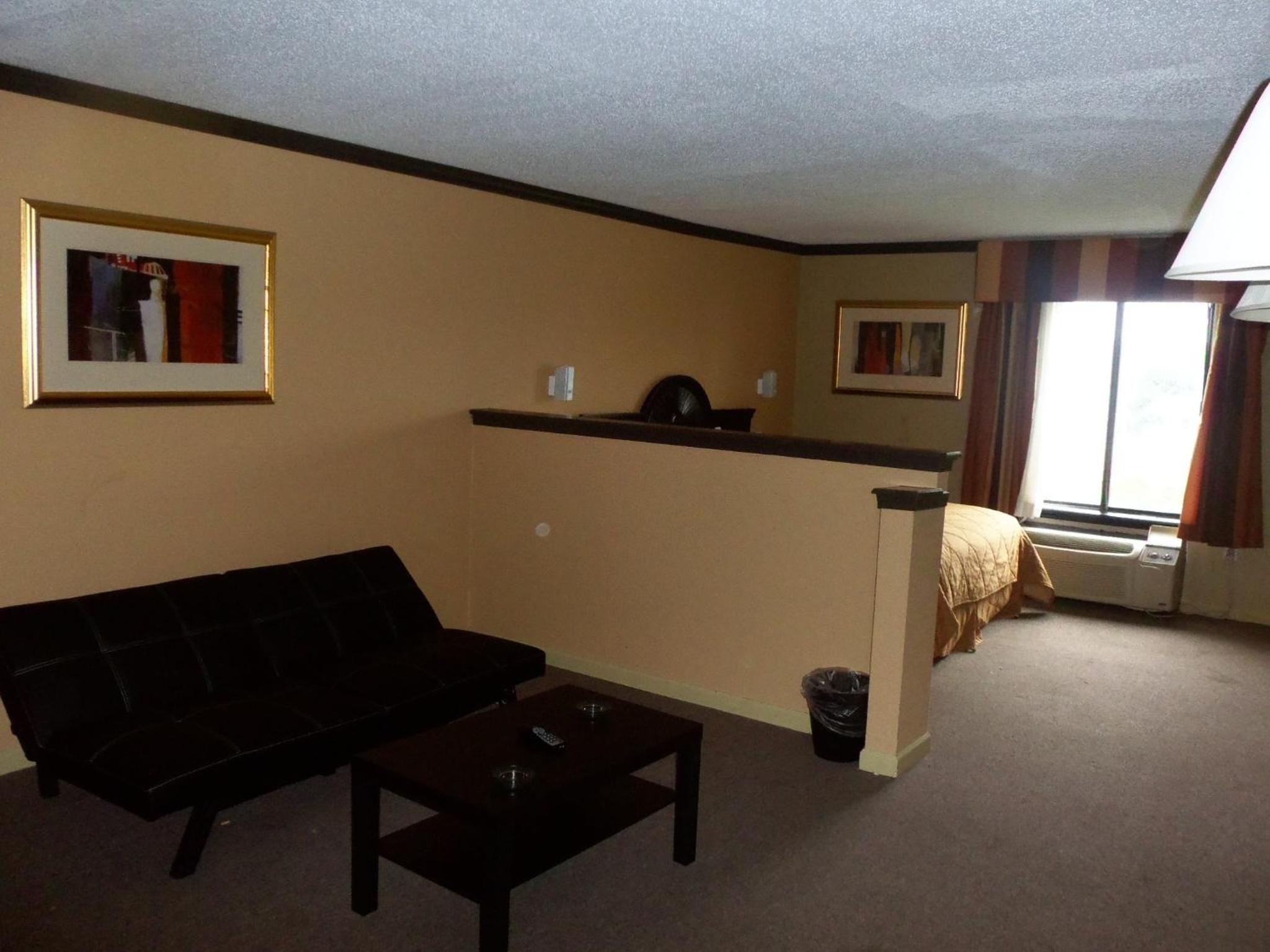 Deluxe King Suite - Photo 14