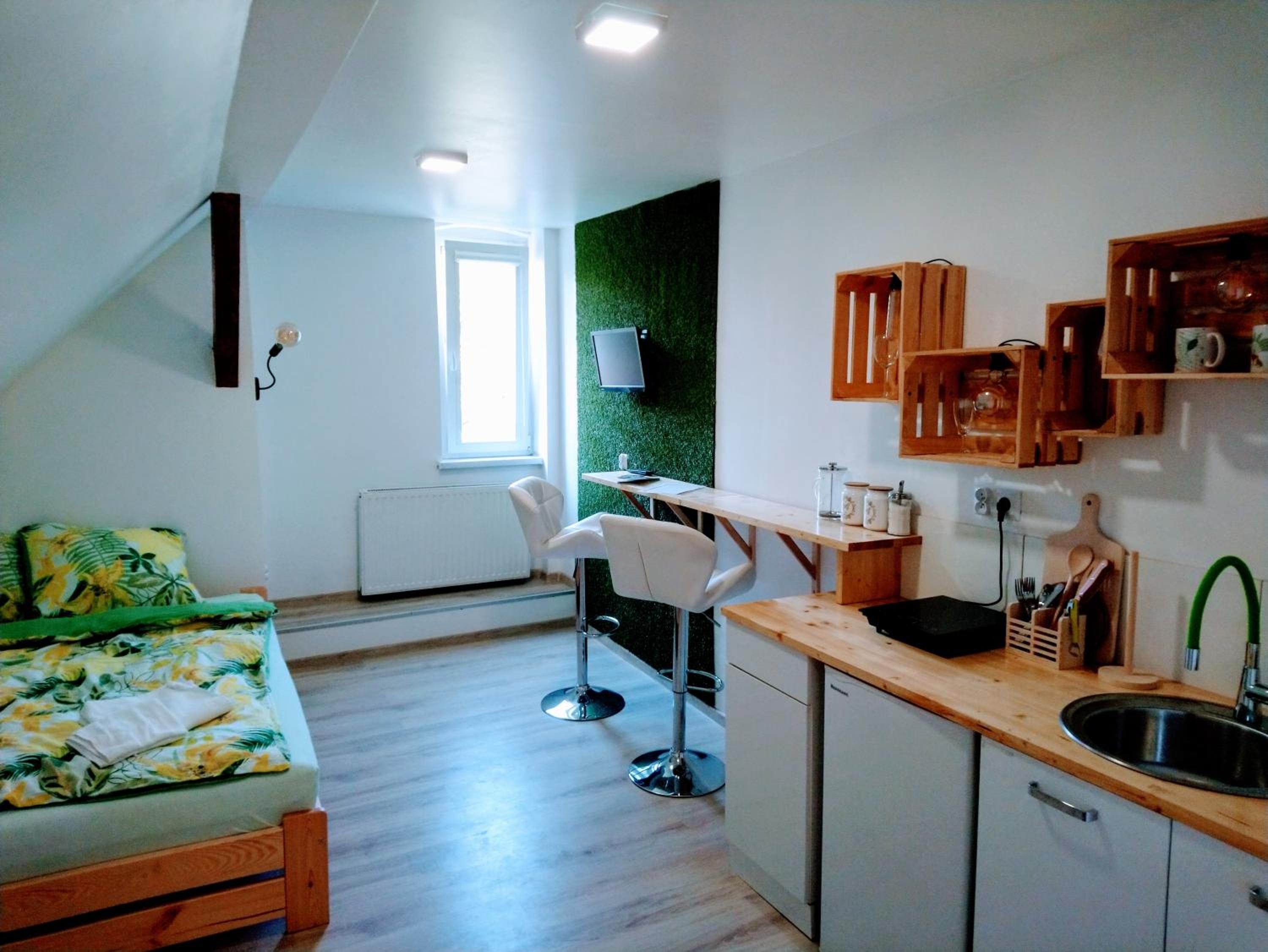 Studio Apartment - Photo 1