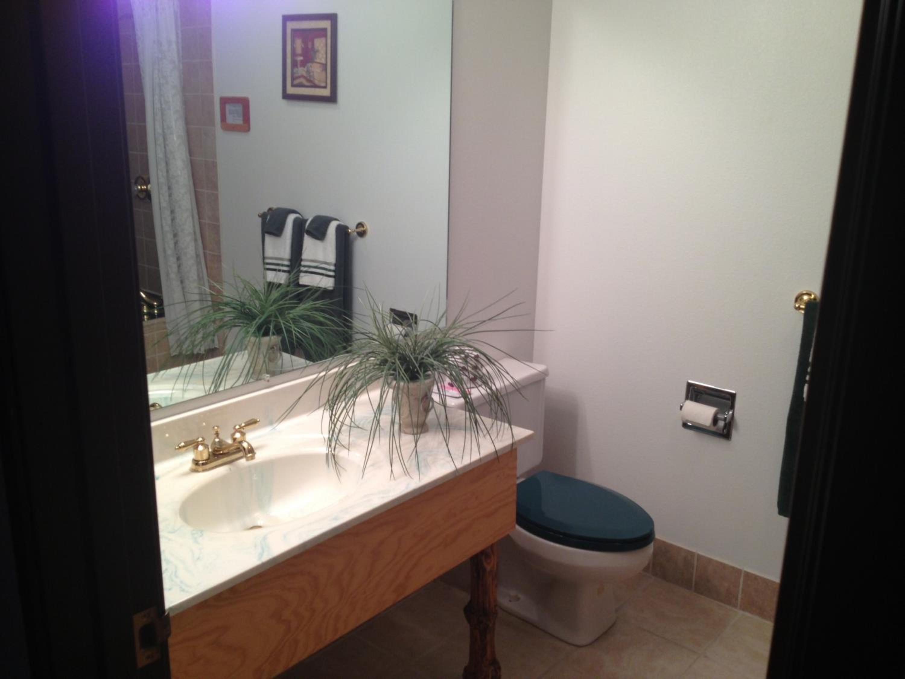 King Suite with Spa Bath photo 2