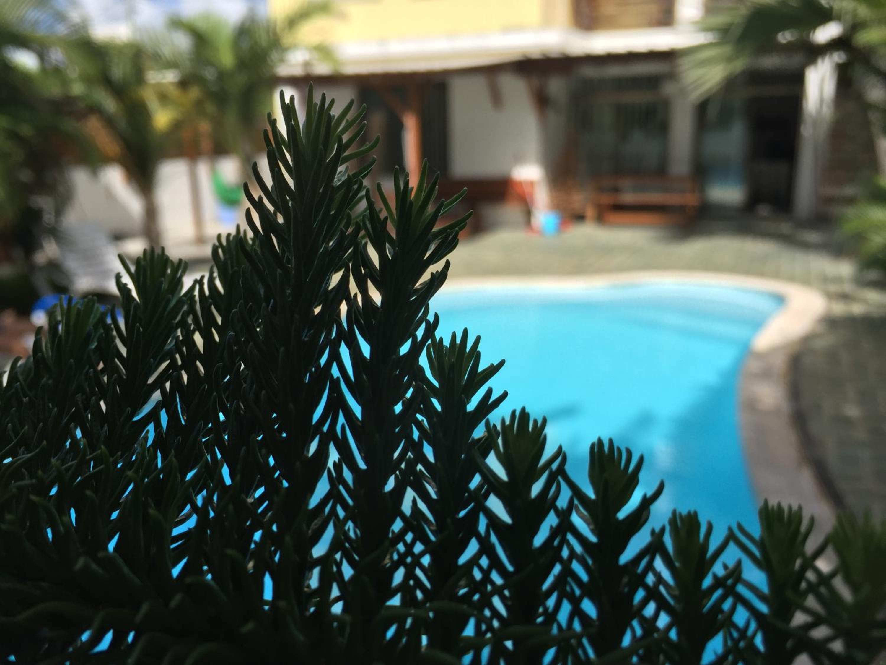 Double Room with Pool View photo 3