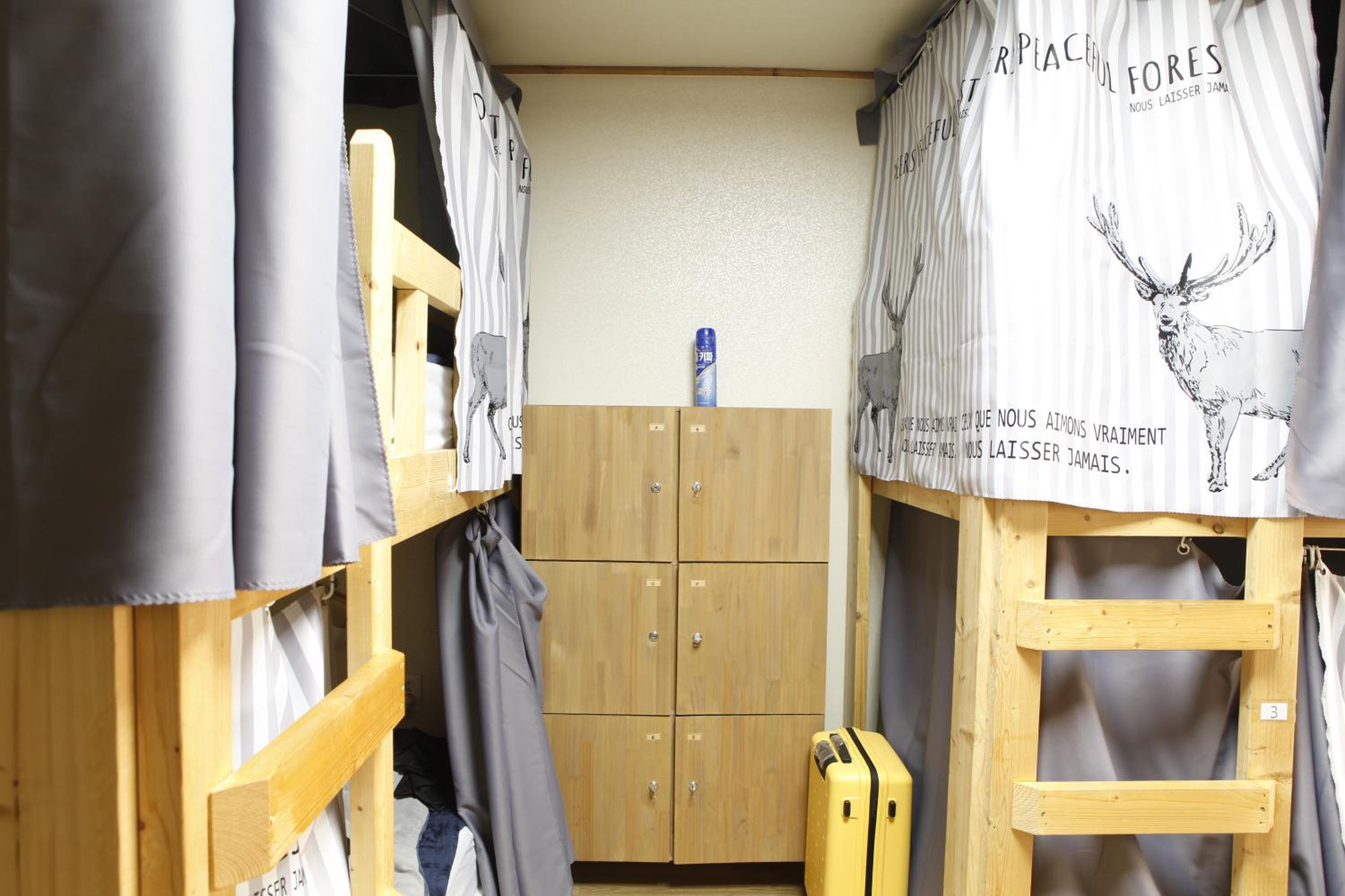 Bed in 6-Bed Male Dormitory Room photo 1