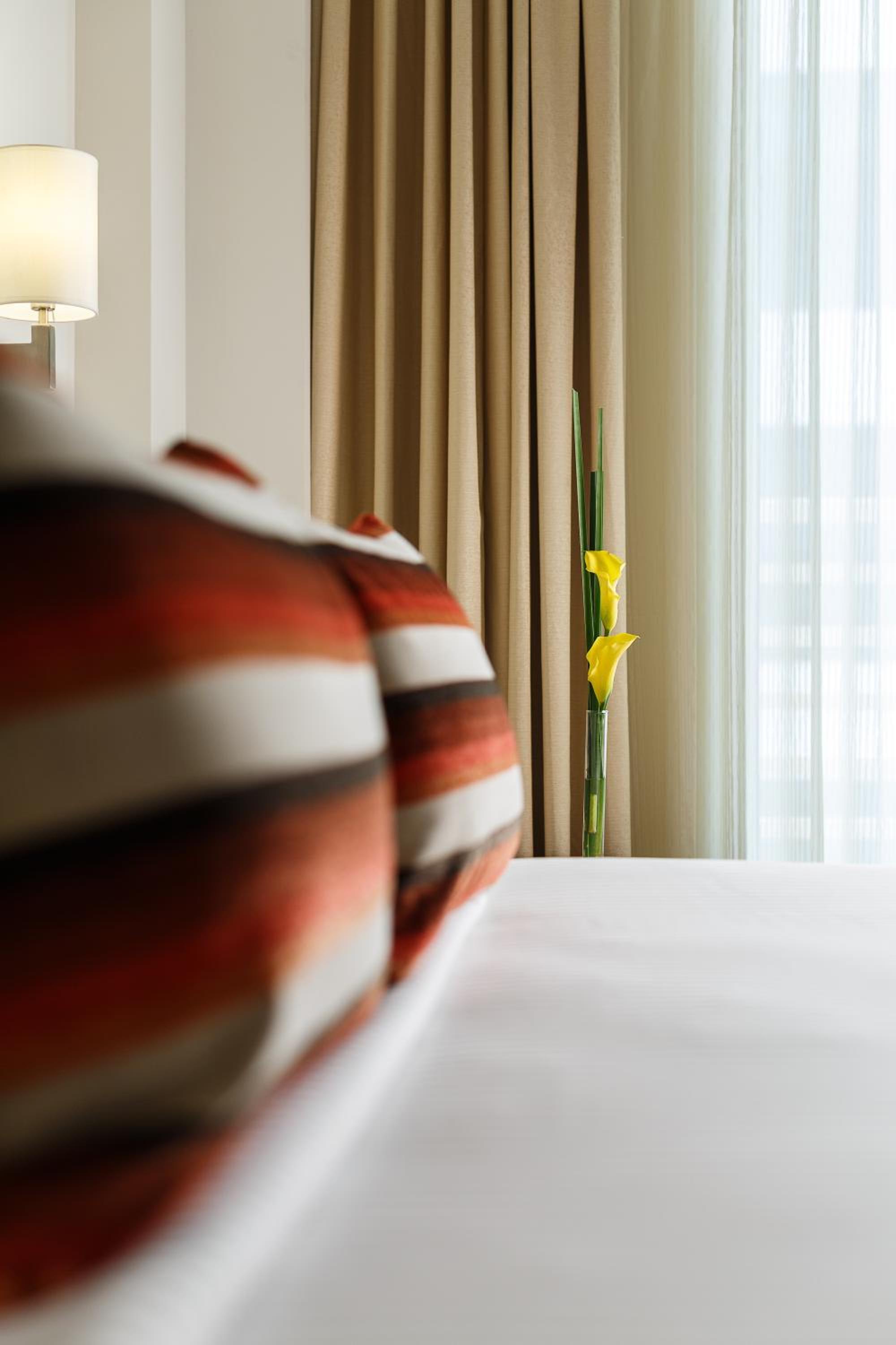 Deluxe Suite - Photo 4