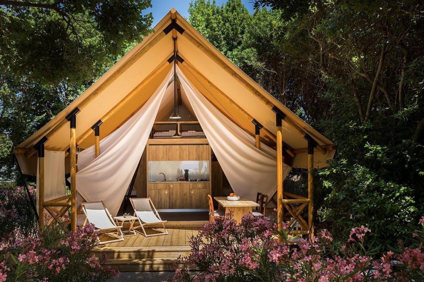 Glamping Tent with Panoramic Bubble  - Photo 1