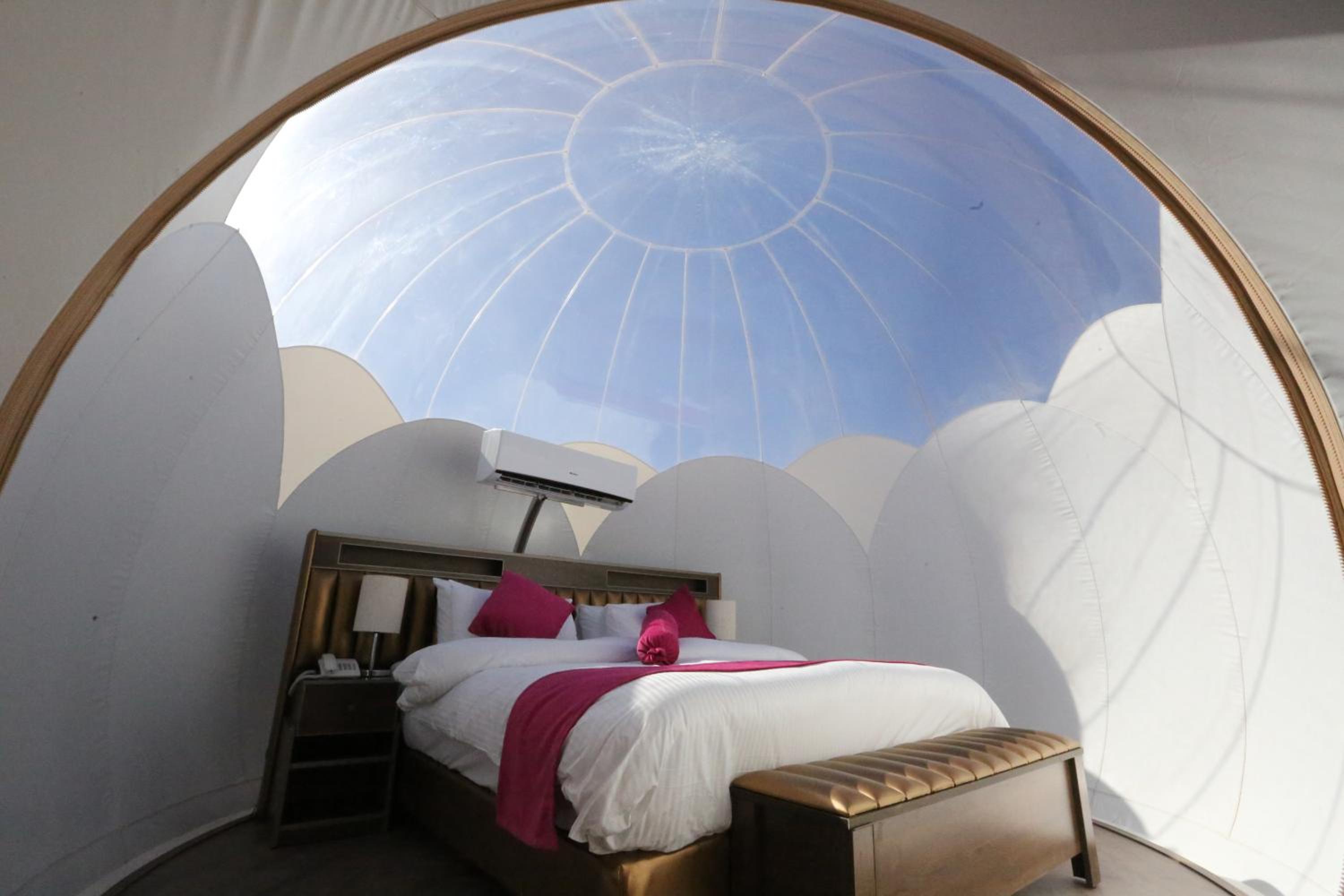 Bubble Suite King - Photo 21