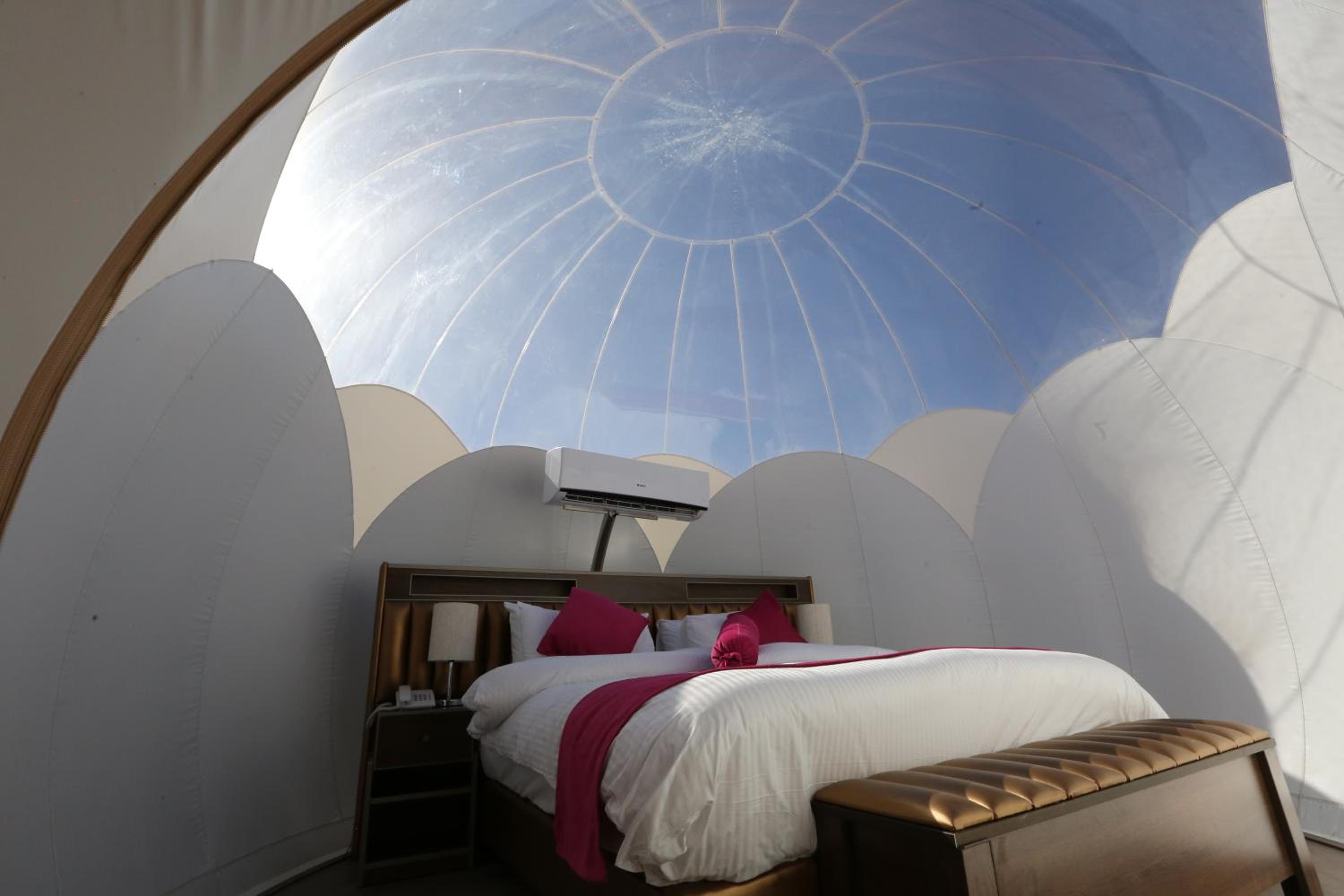 Bubble Suite King - Photo 20