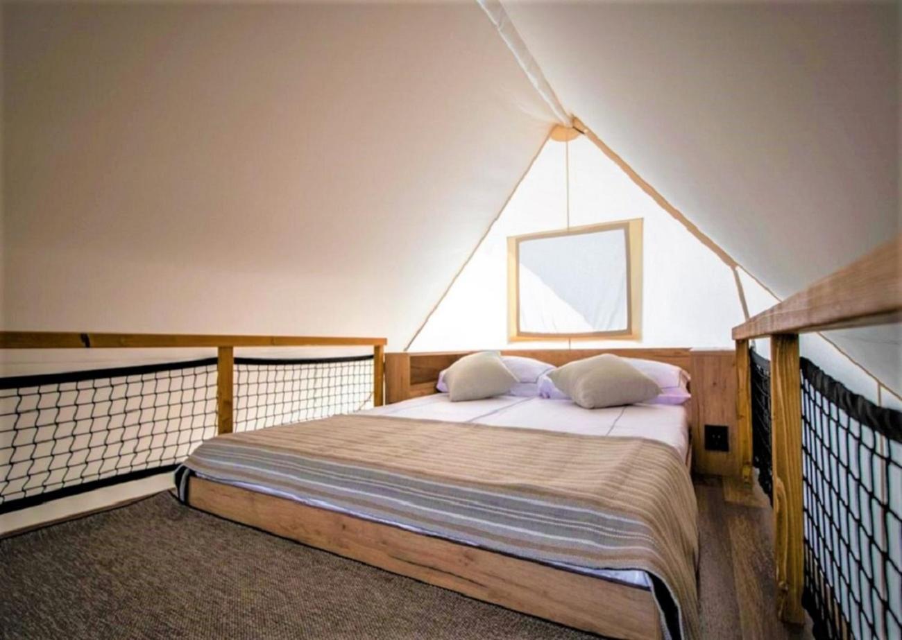 Glamping Tent with Panoramic Bubble  - Photo 16