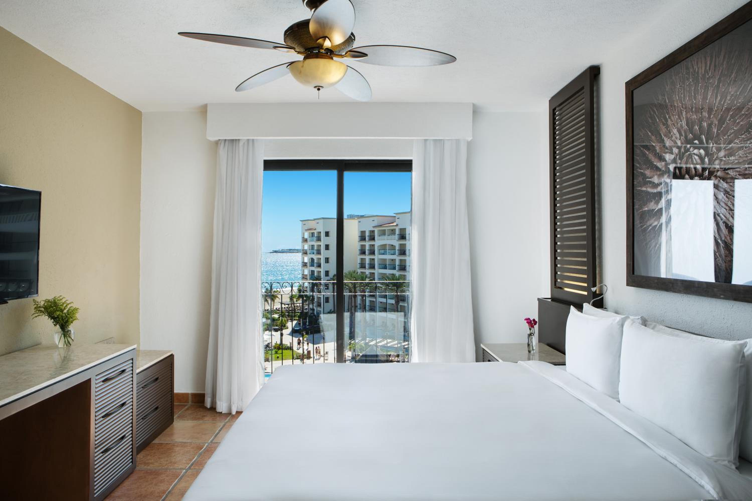 Suite - Photo 1