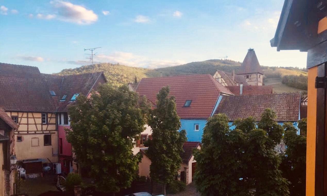 Apartment with Mountain View - Photo 8