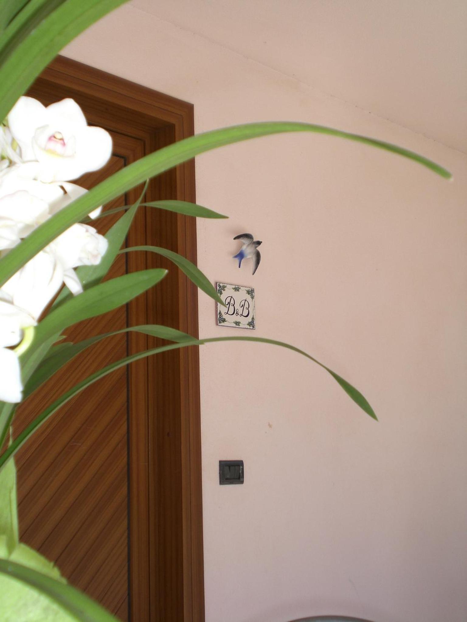Apartment  With Two Bedrooms Ground Floor photo 3