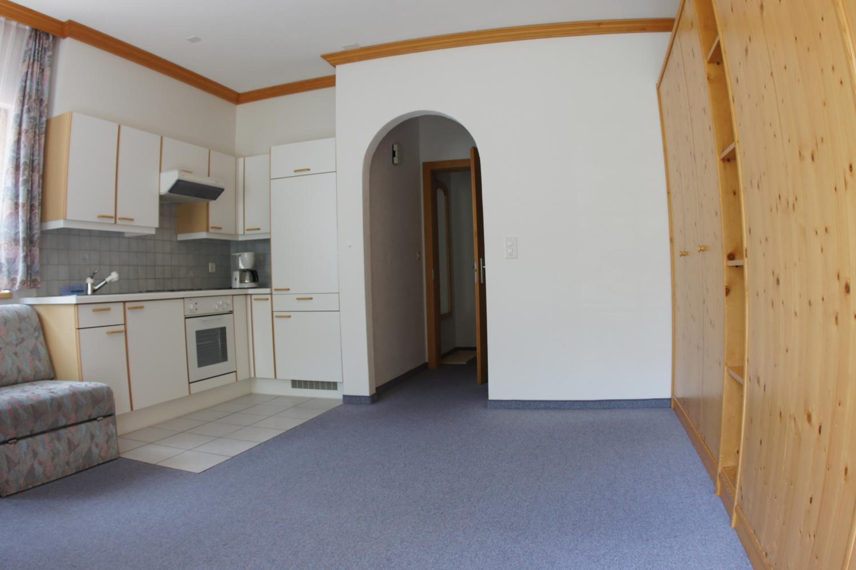 Large One-Bedroom Apartment photo 3
