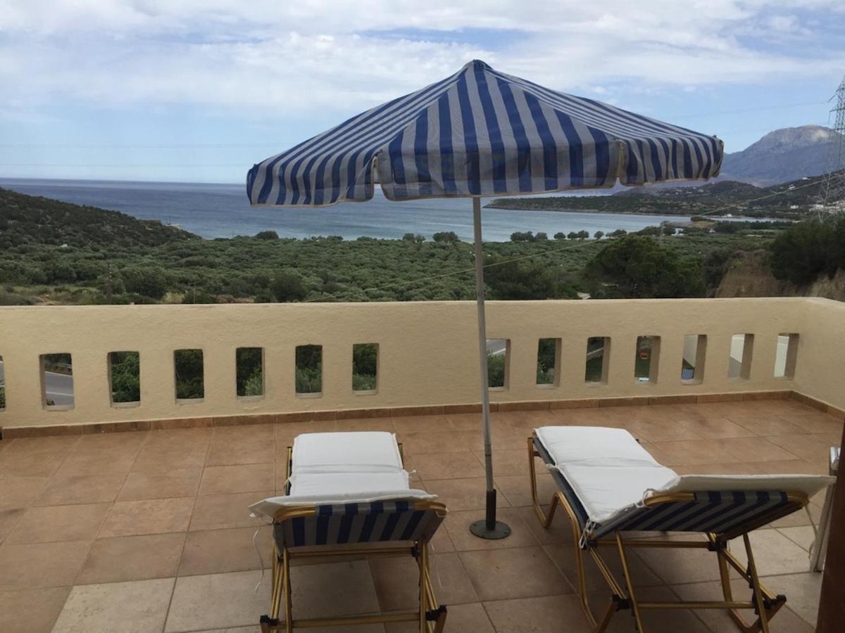 Apartment with Terrace photo 3