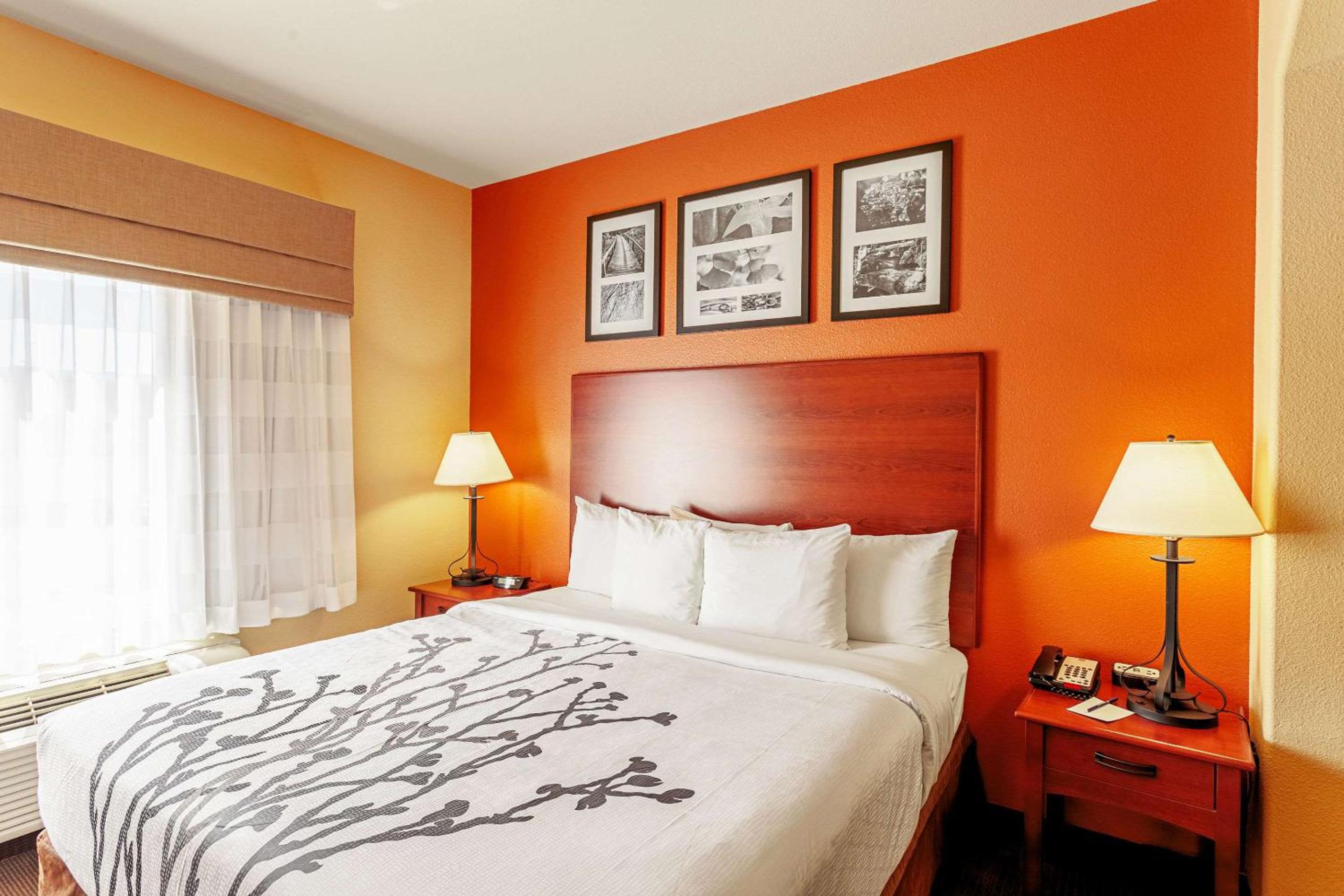 King Suite - Non-Smoking - Photo 1