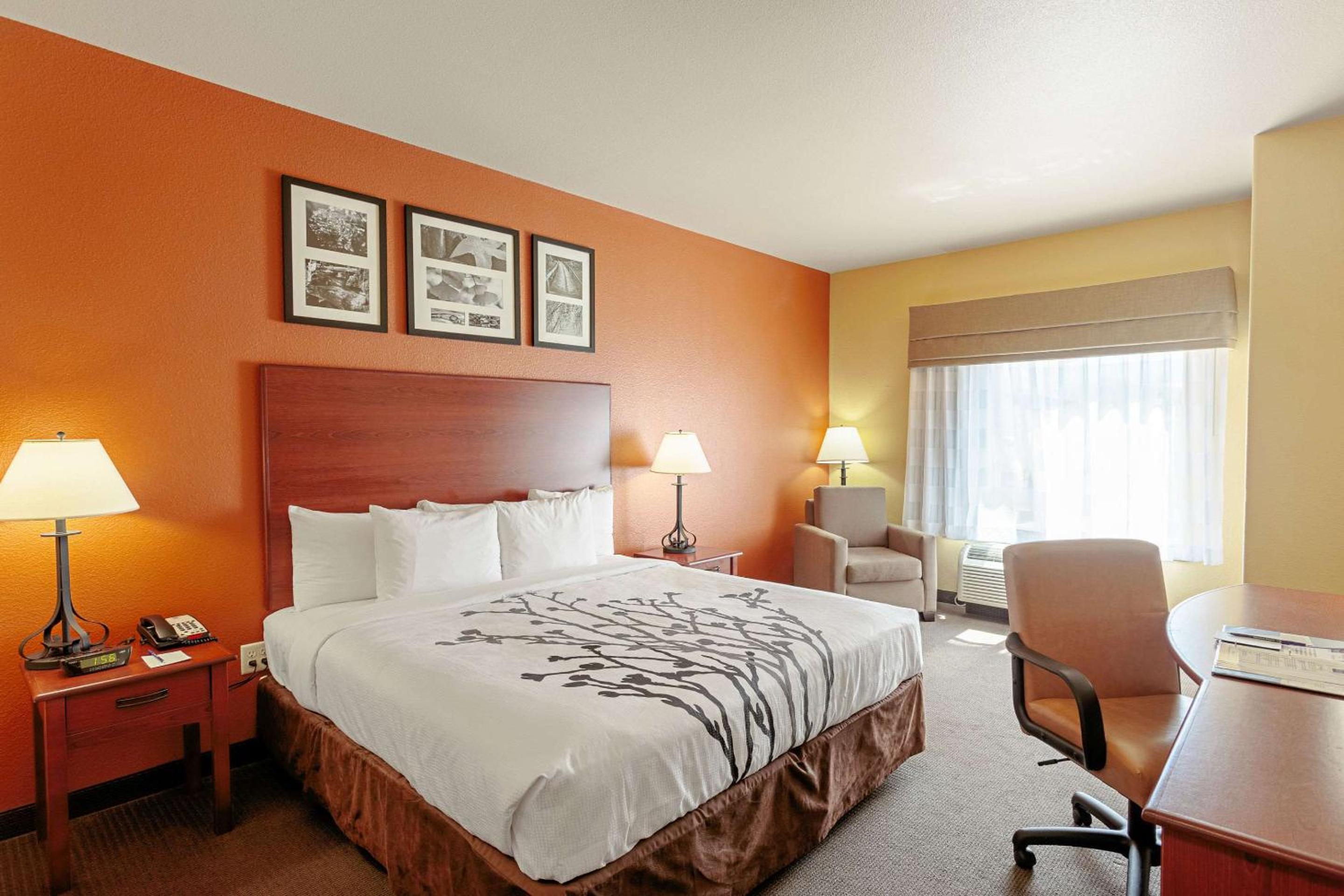 King Room - Non-Smoking - Photo 1
