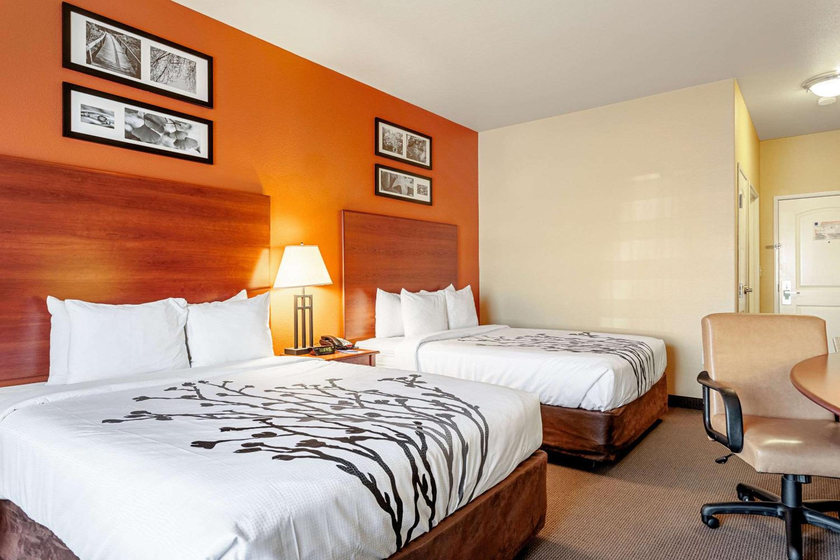 Queen Room with Two Queen Beds - Non-Smoking - Photo 3