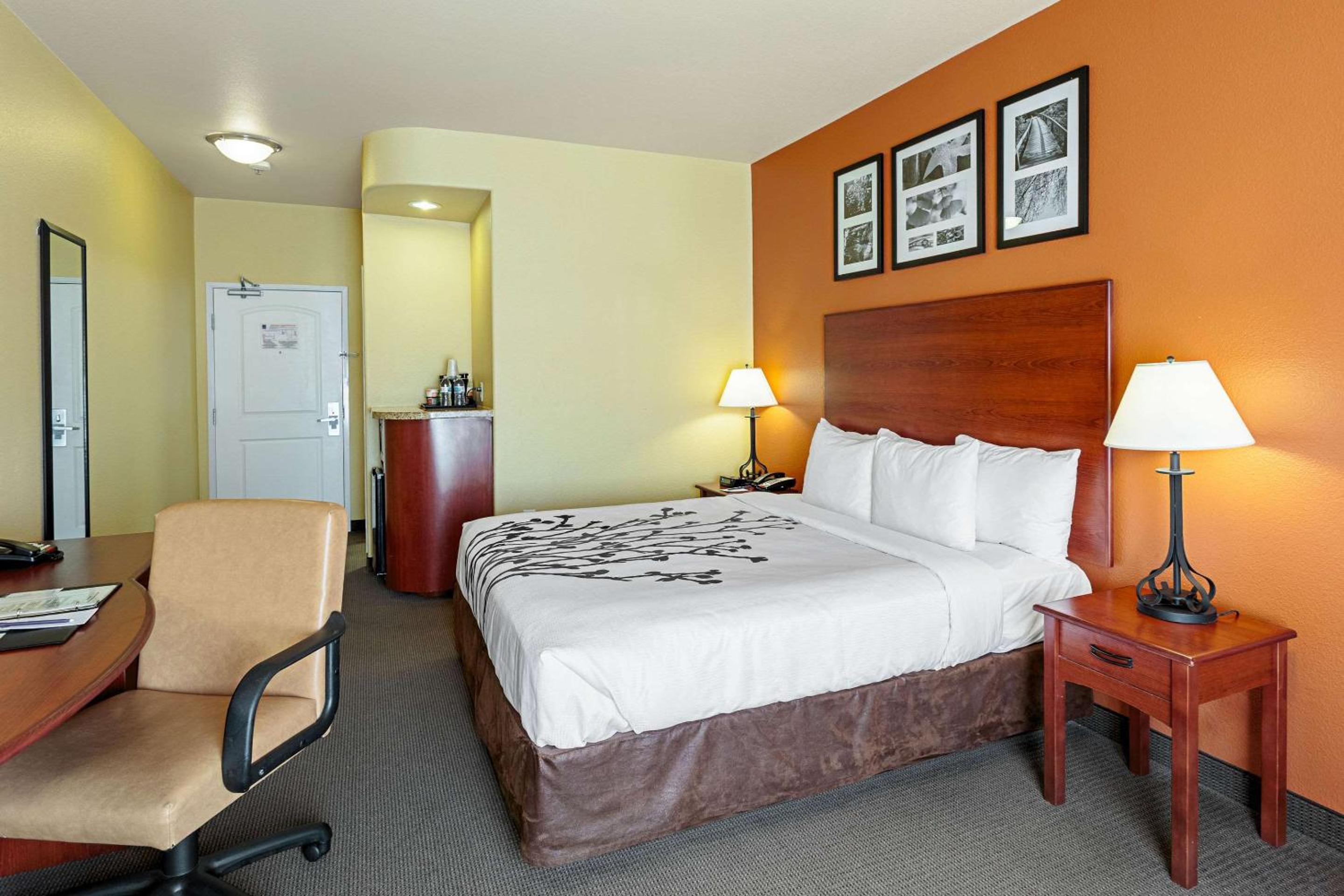 King Room - Non-Smoking - Photo 3