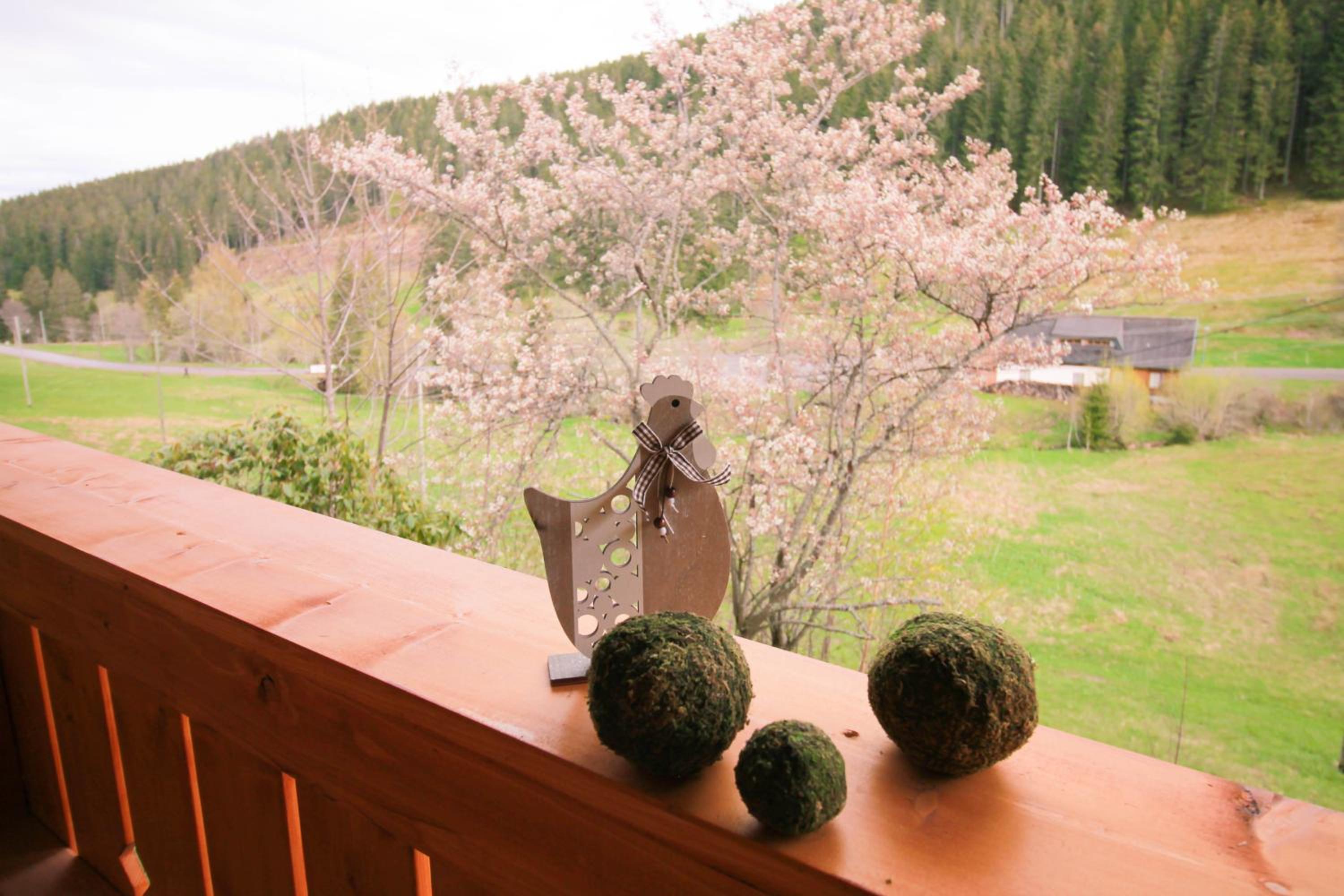 Two-Bedroom Apartment with Balcony photo 2