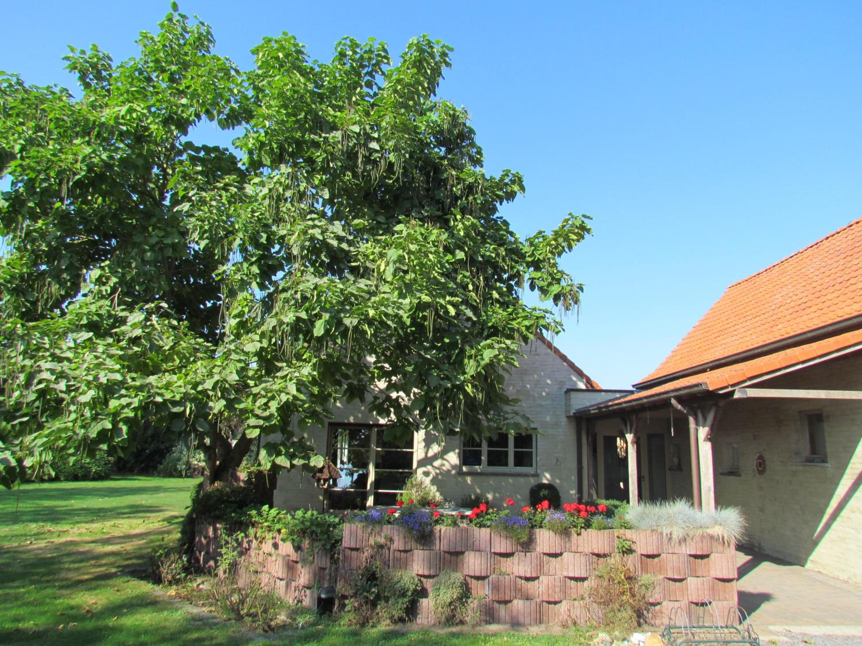 Six-Bedroom House photo 1