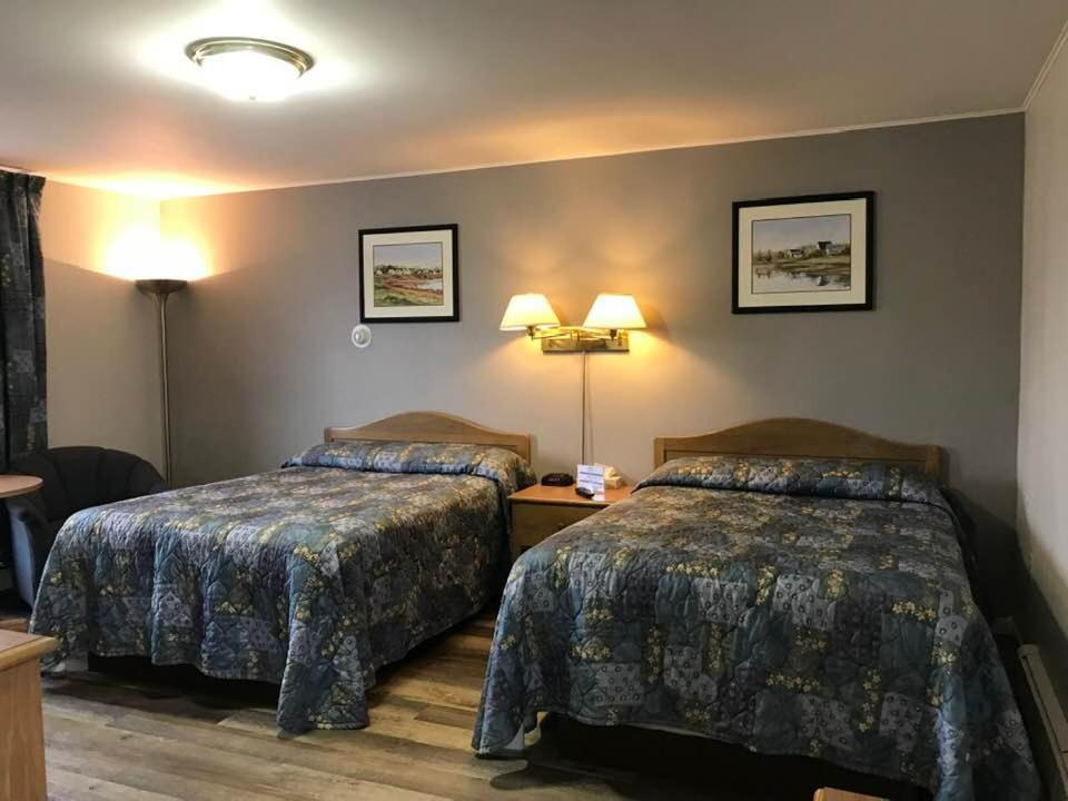 Suite - Photo 1