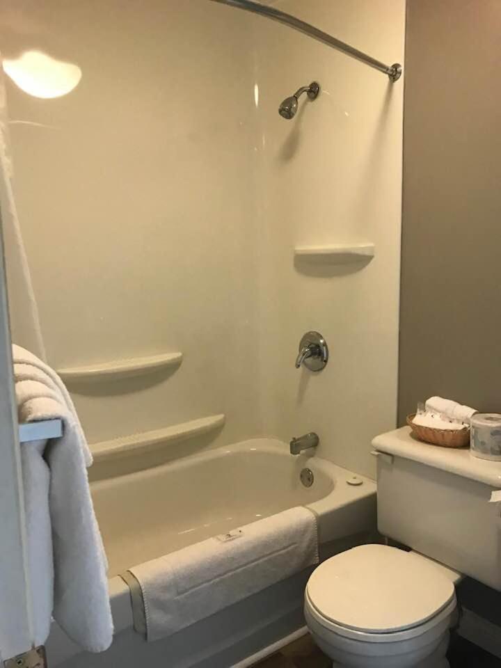 Suite - Photo 5