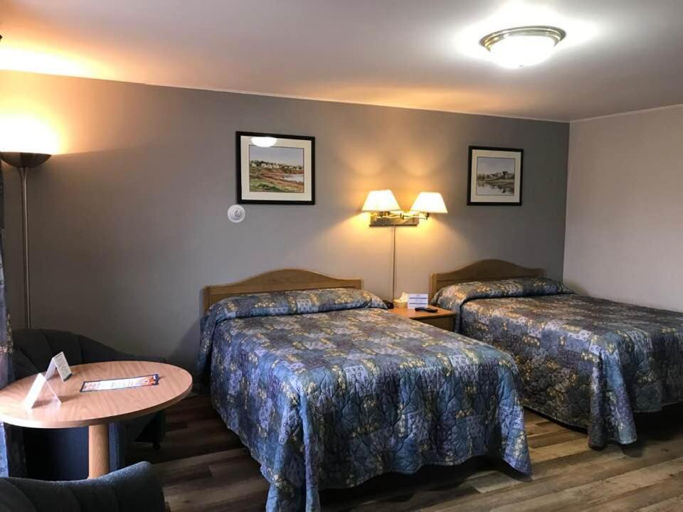 Suite - Photo 6