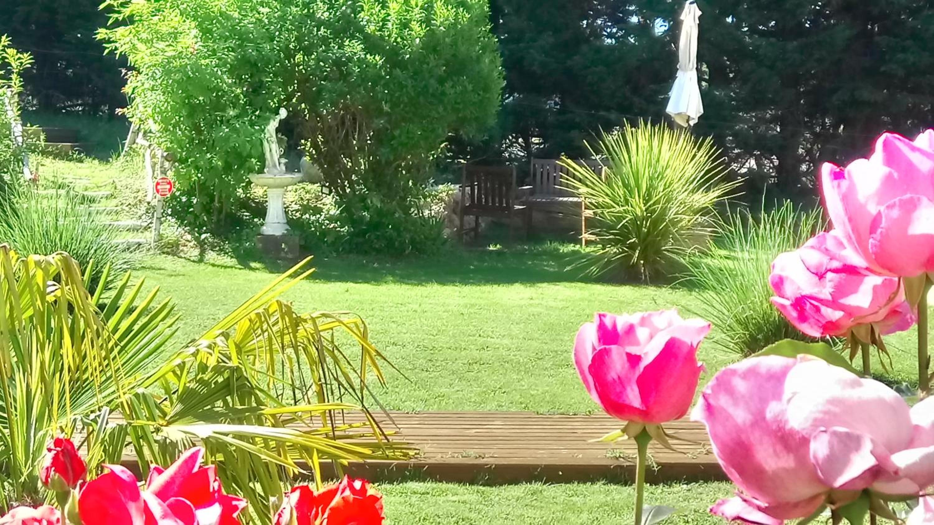 Double Room with Garden View photo 3