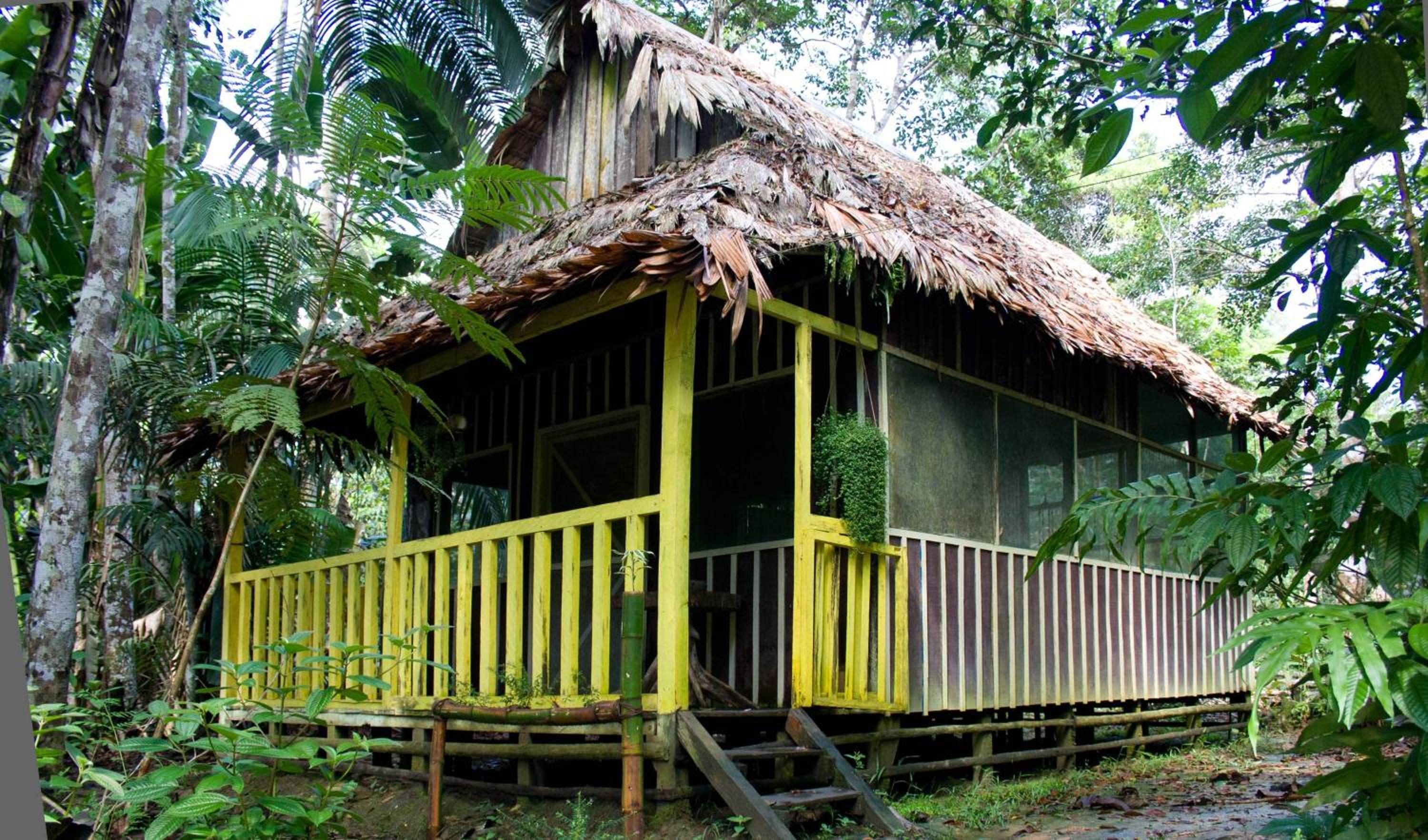 Bungalow (3 Adults) photo 2