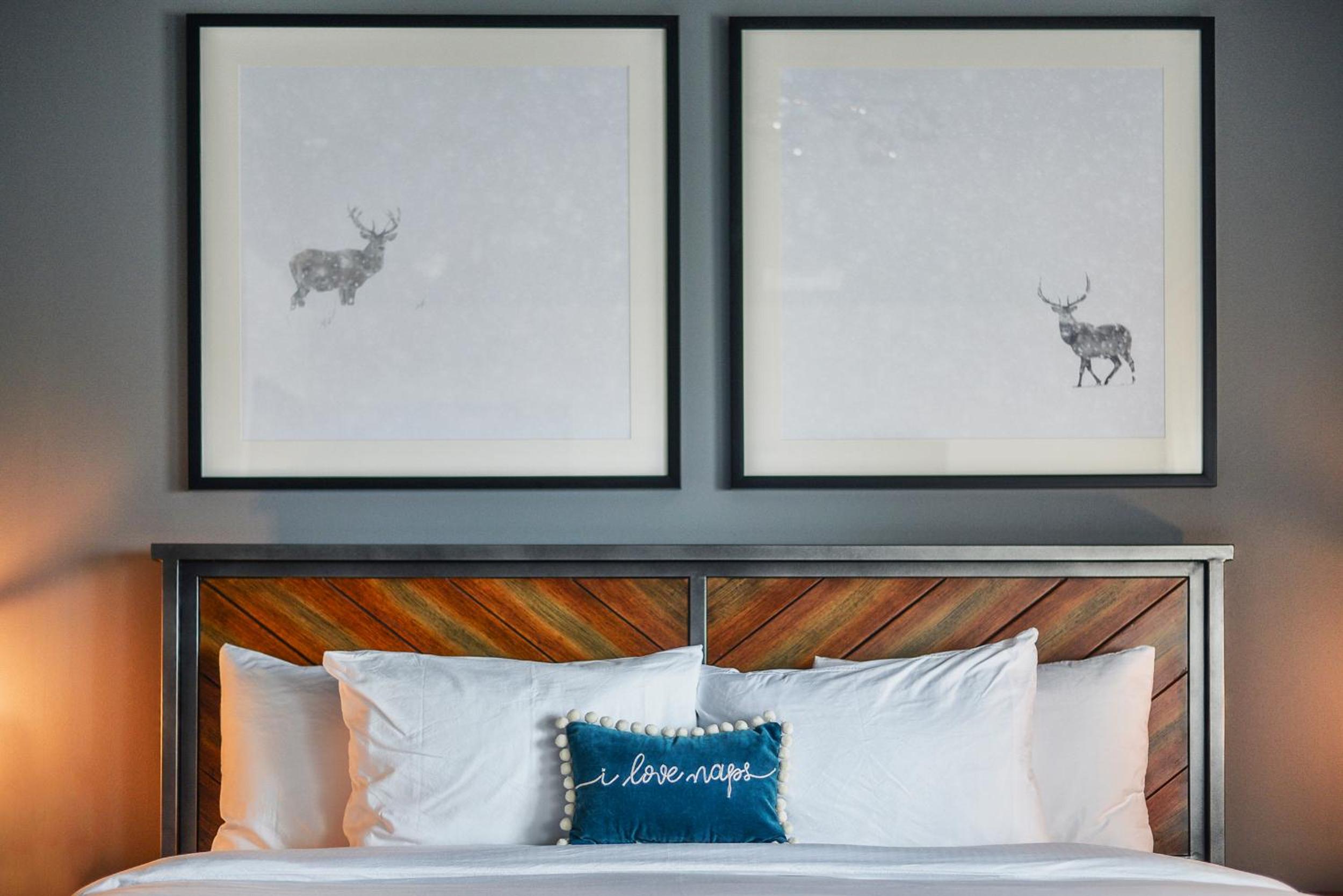 Deluxe King Suite photo 2