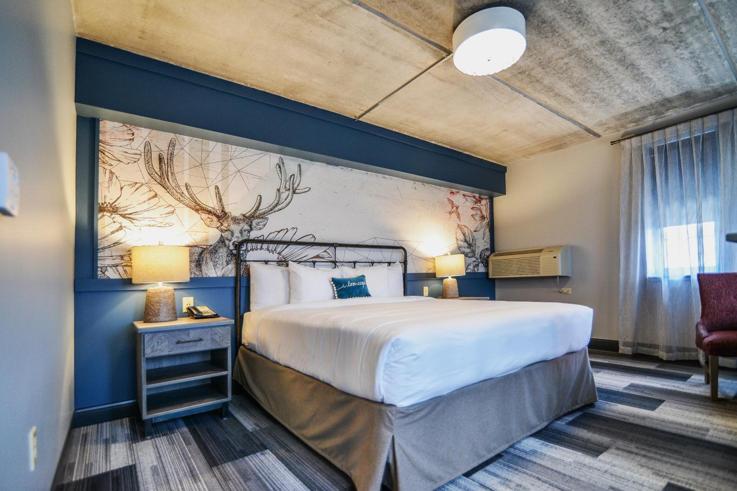 King Room photo 1