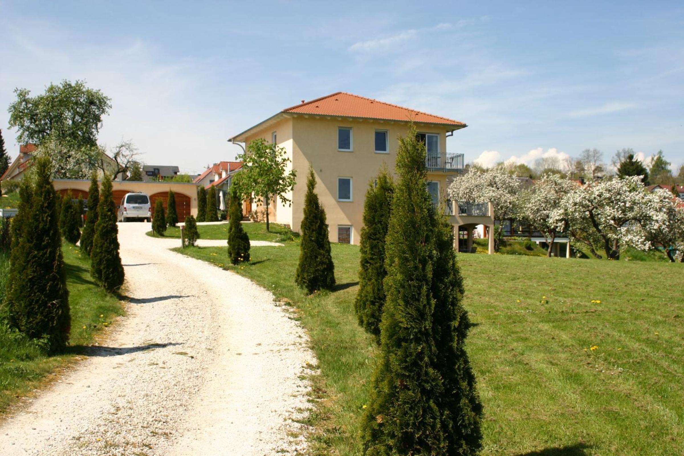 Apartment with Terrace photo 2