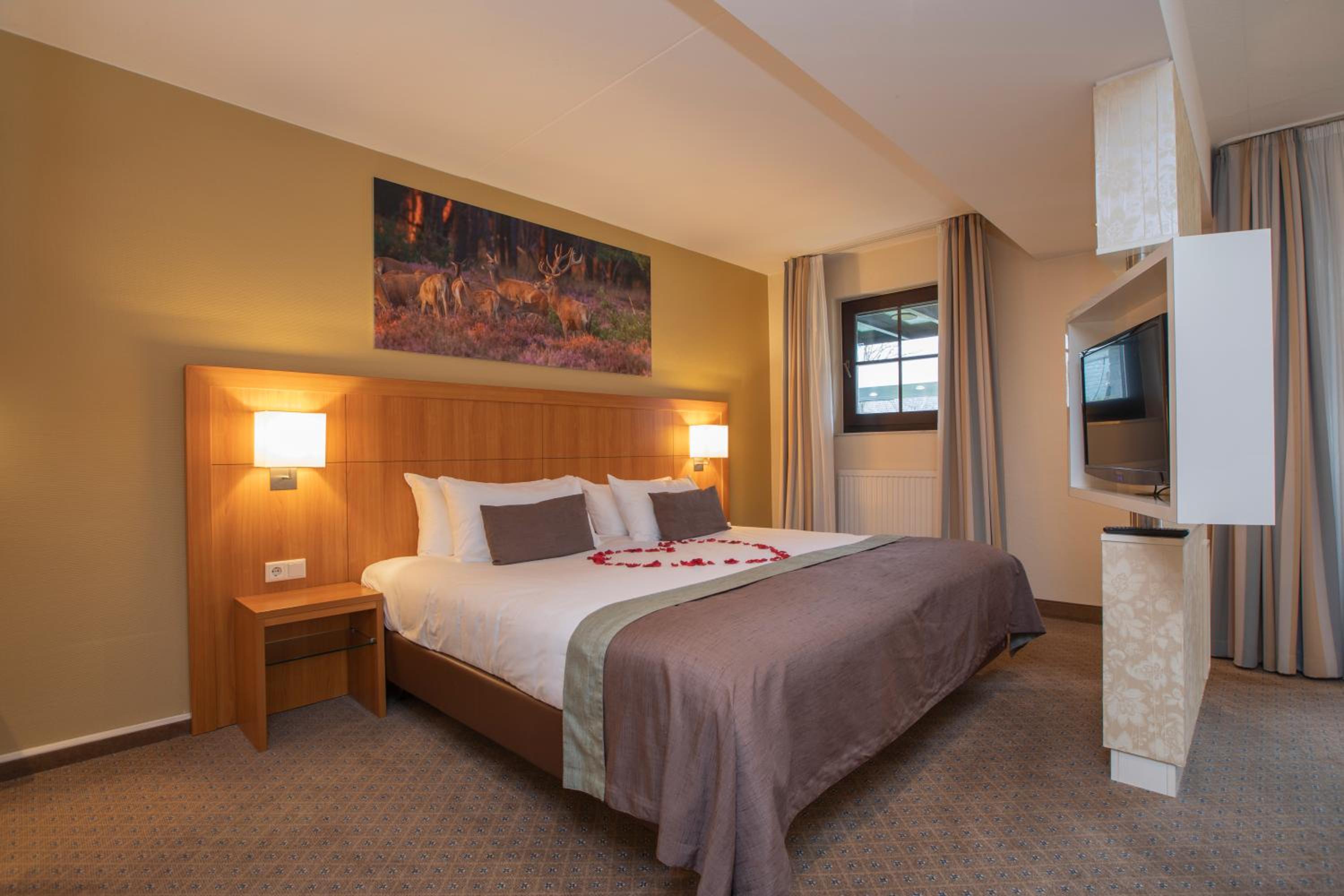 Superior King Room photo 1