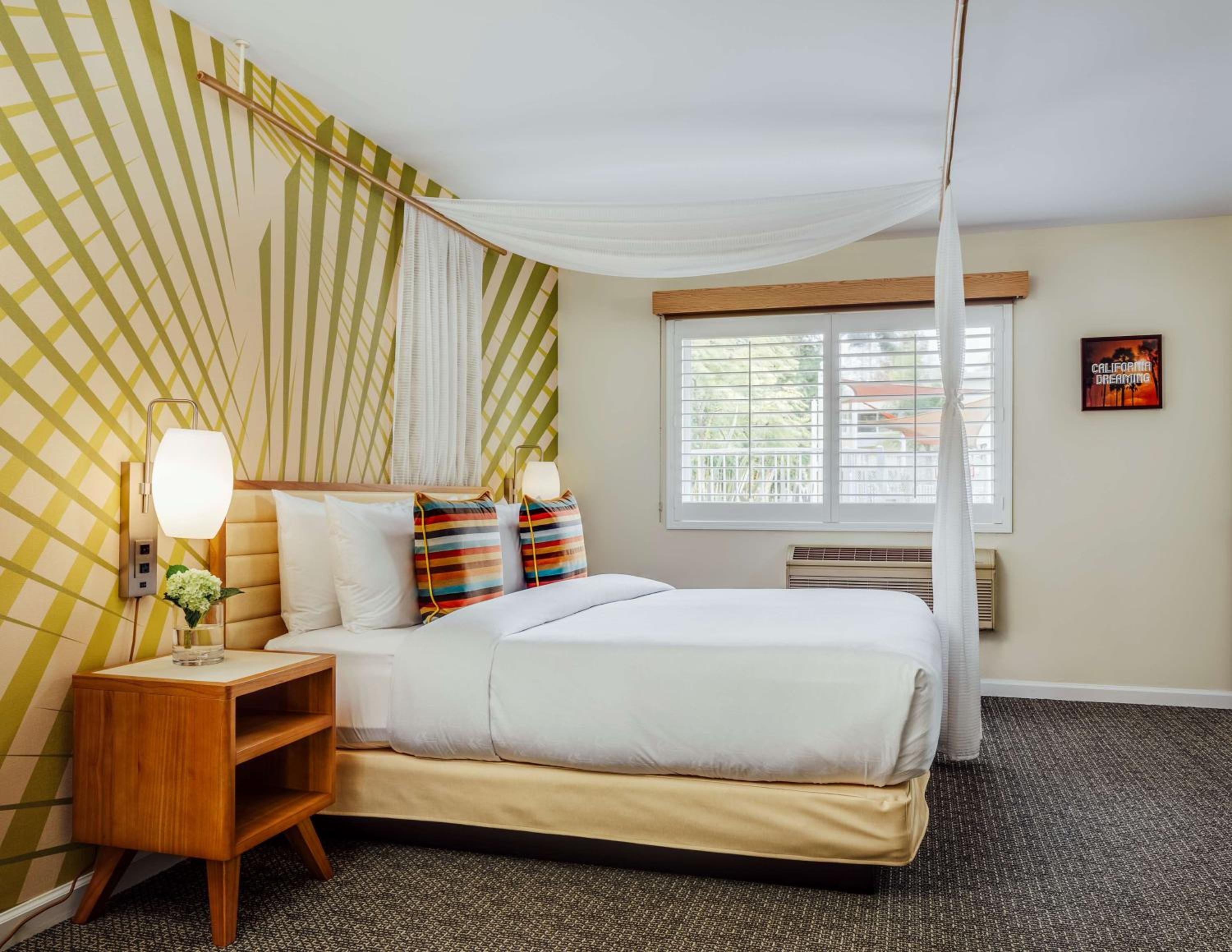 One-Bedroom Suite - Photo 4