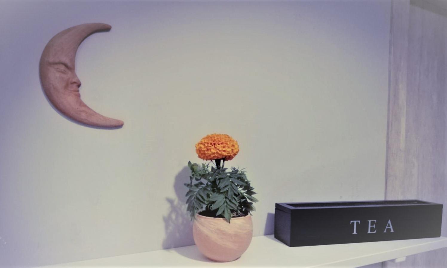 Double Room - Photo 34