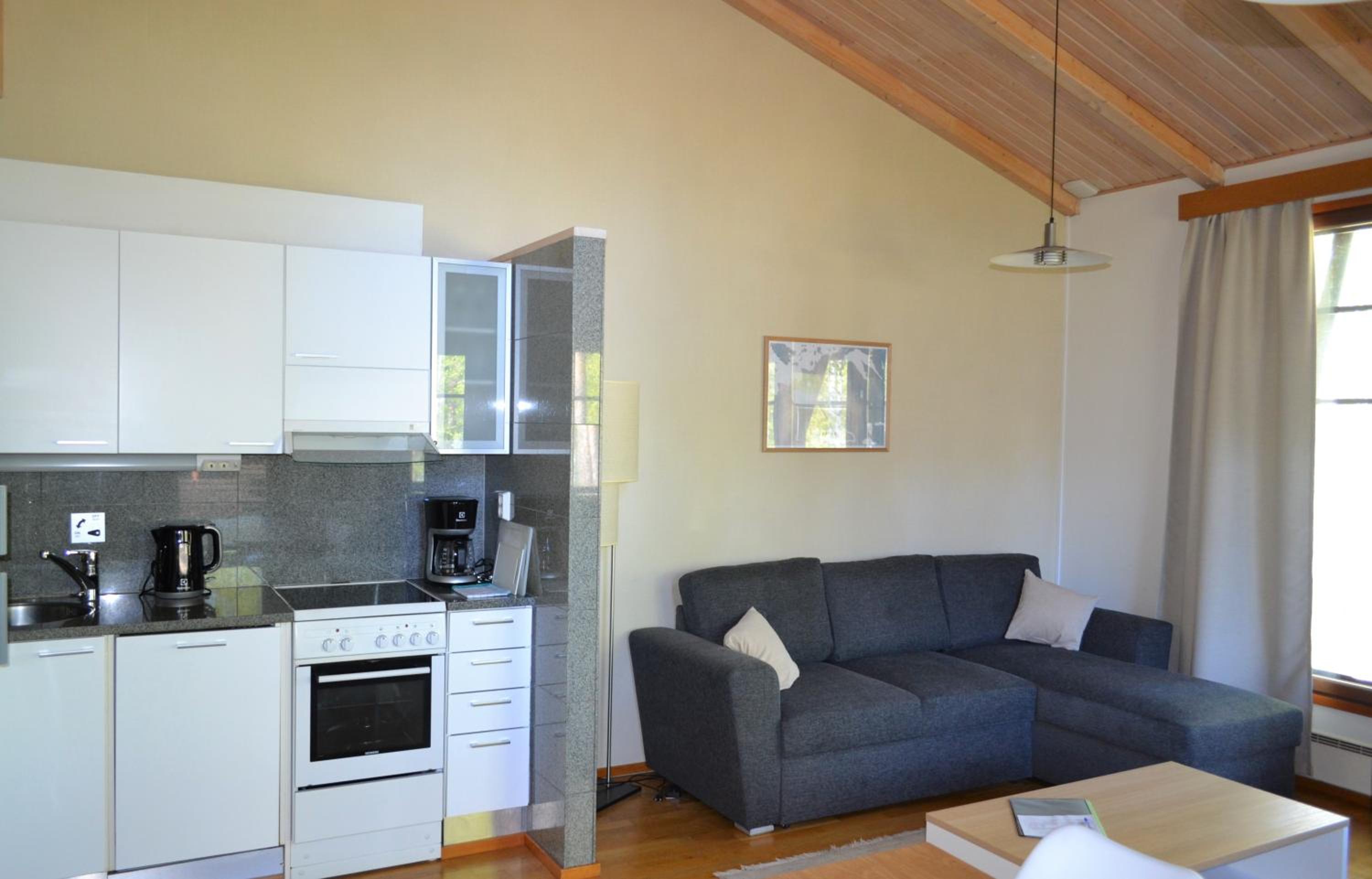 Two-Bedroom Apartment with Sauna photo 2
