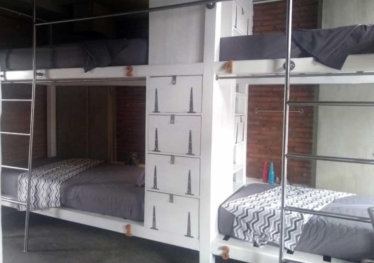 Single Bed in Mixed Dormitory Room photo 1