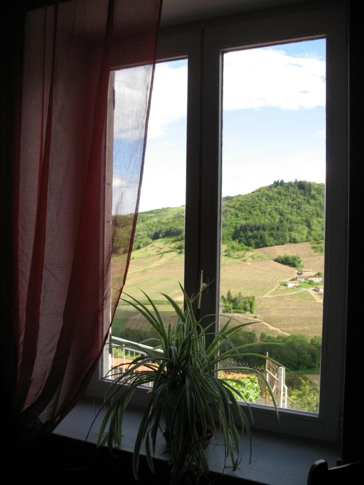 Large Double Room - Photo 2