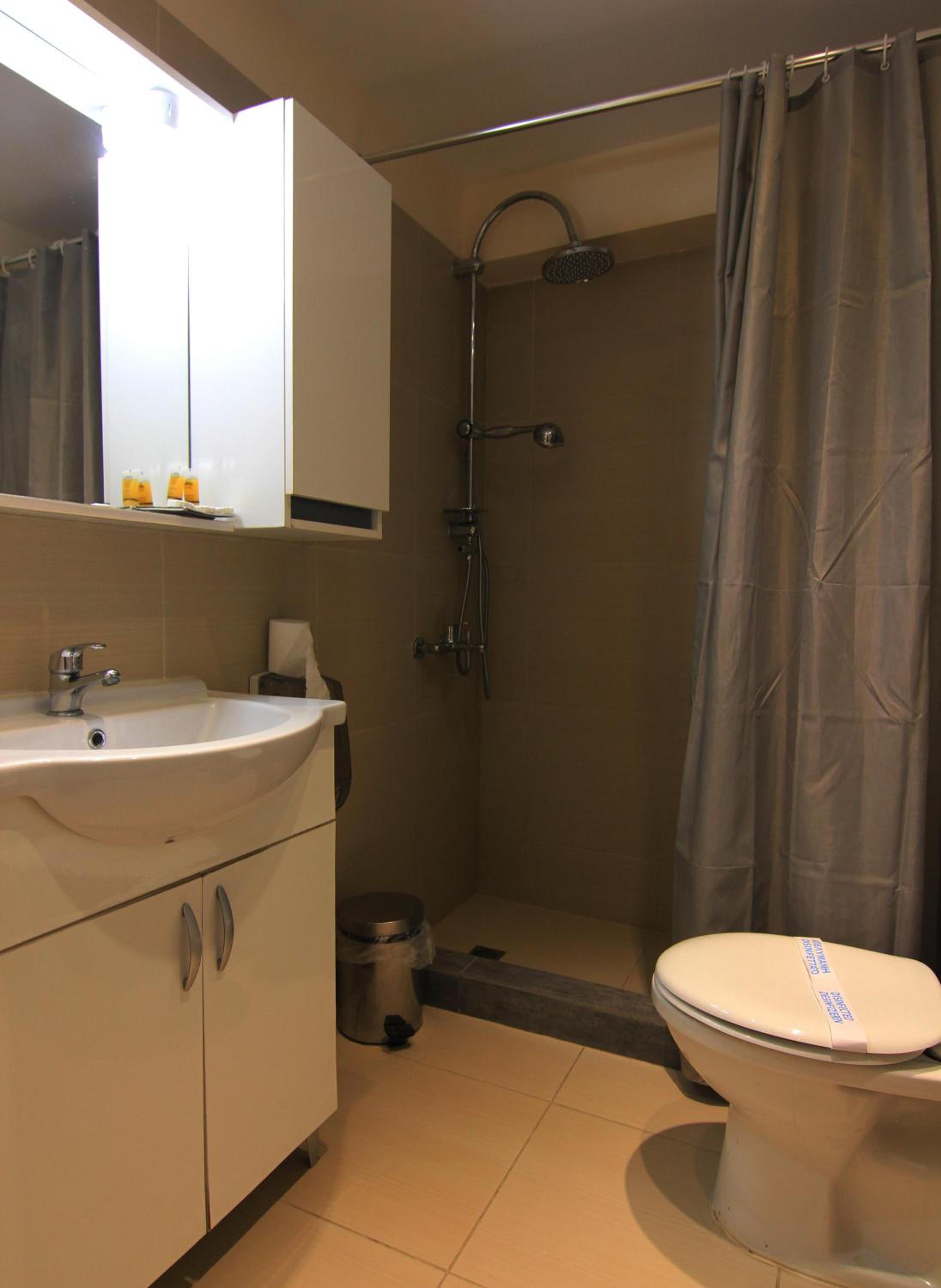One-Bedroom Apartment (Annex) photo 3
