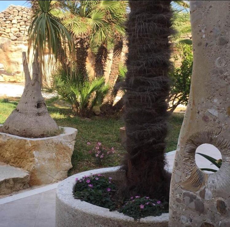 Double Room with Garden View photo 3