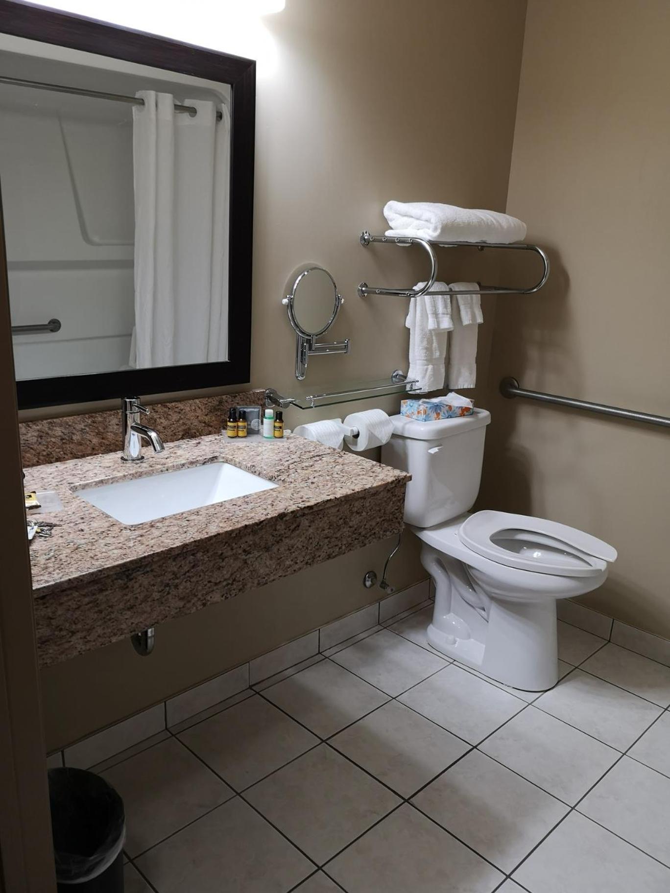 Queen Room with Roll-In Shower - Mobility Accessible/Non-Smoking - Photo 4