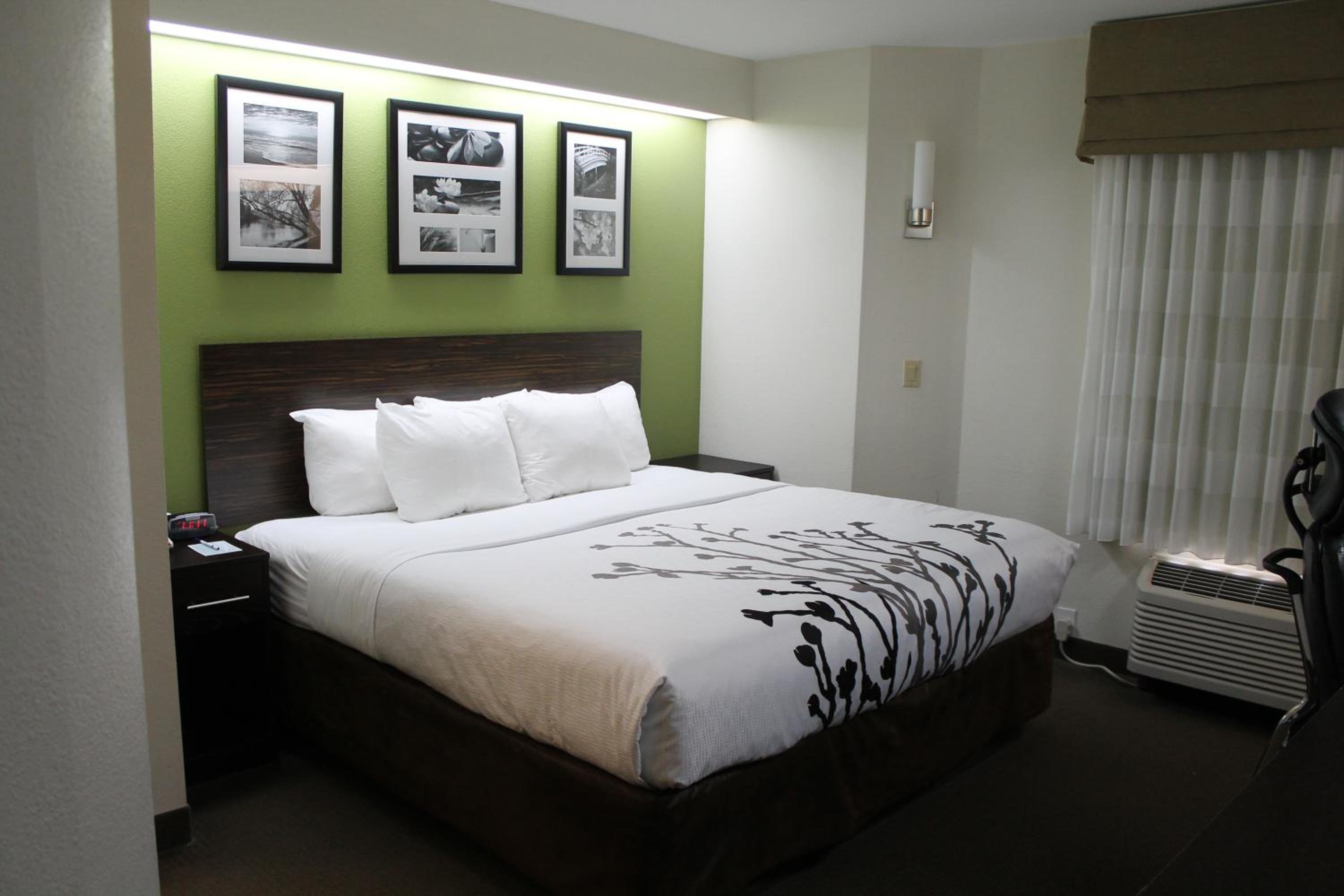 First Floor King Room - Non-Smoking - Photo 8